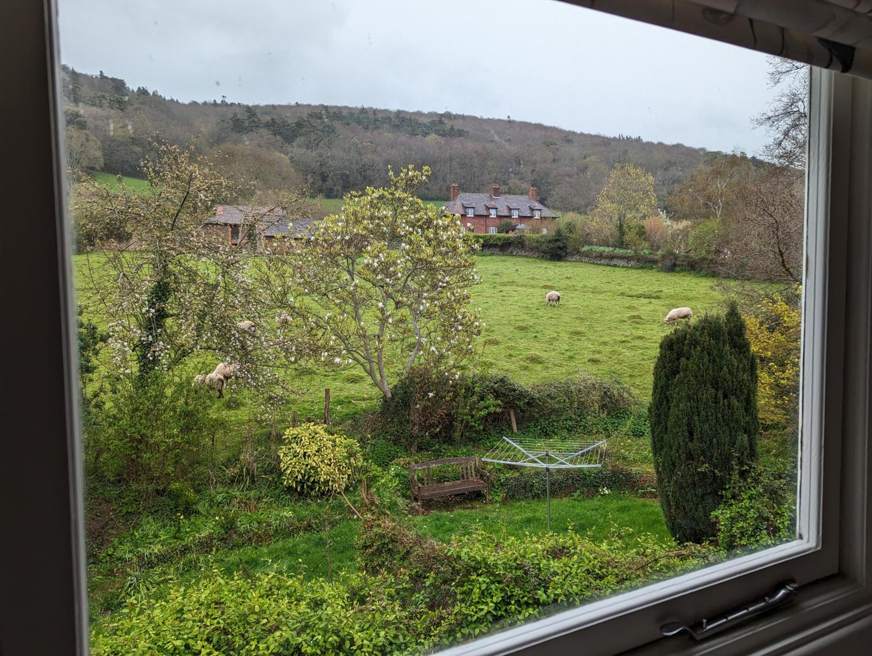 Photo 11