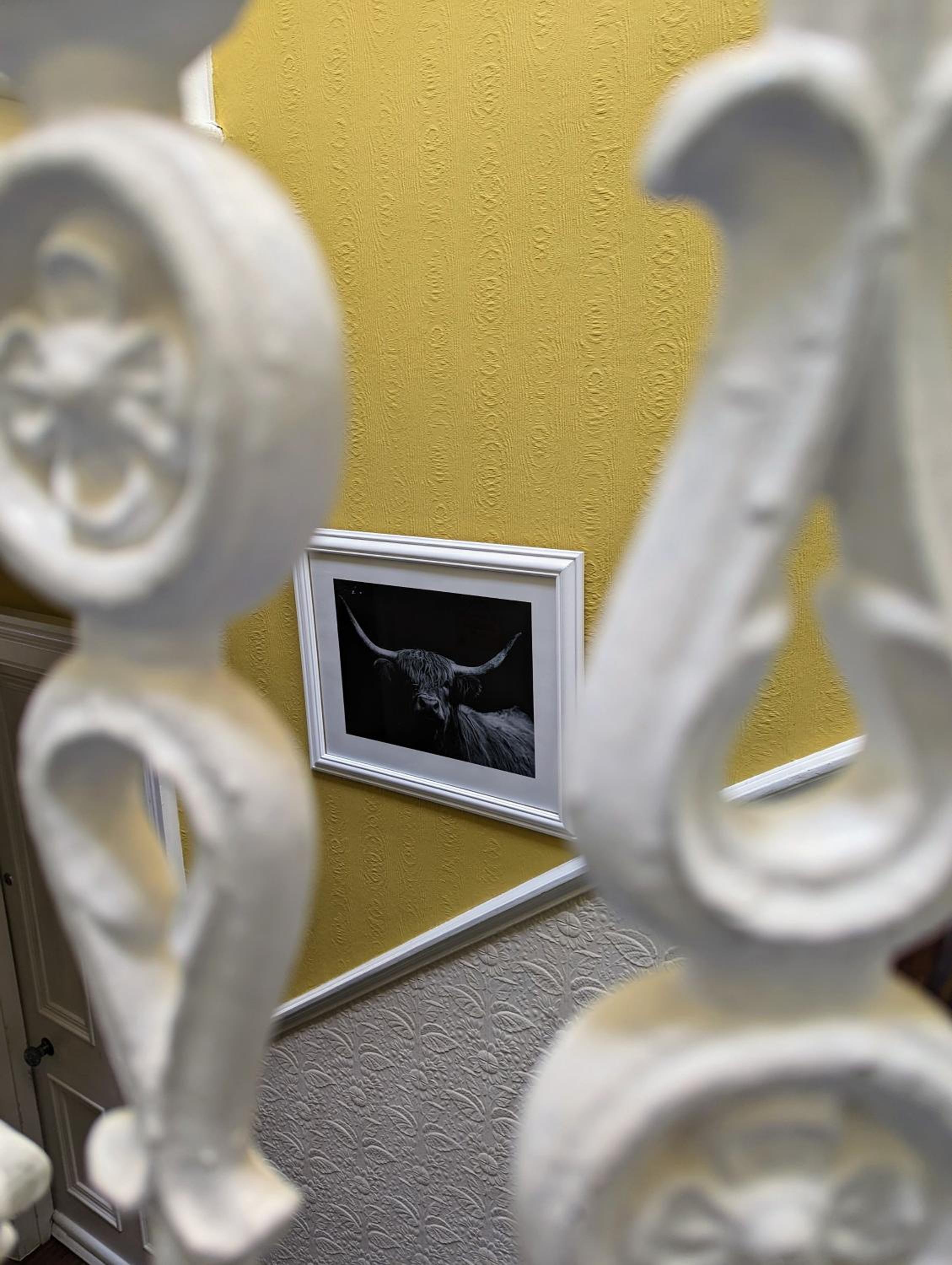 The Coo's Guest House — photo 73