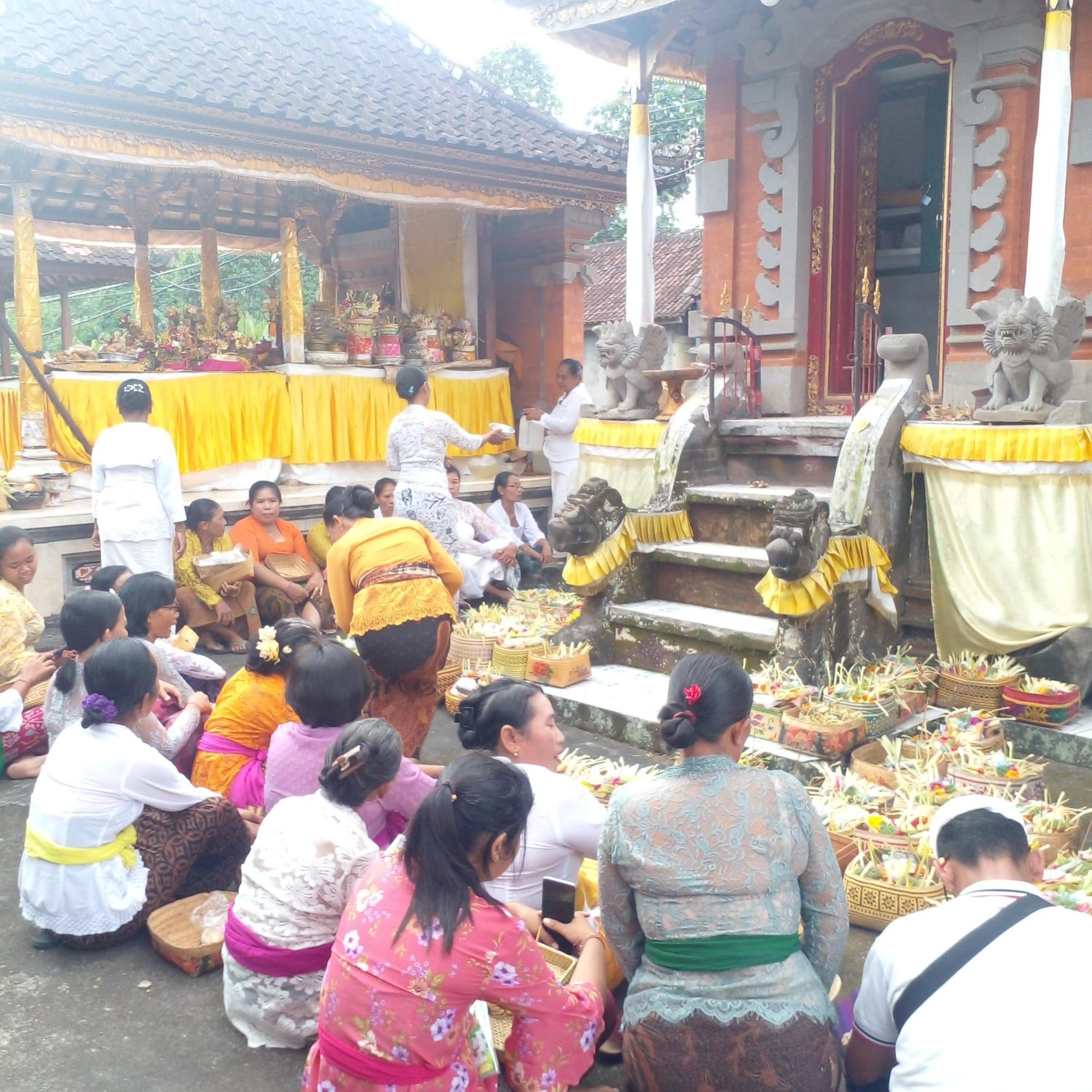 Photo 49