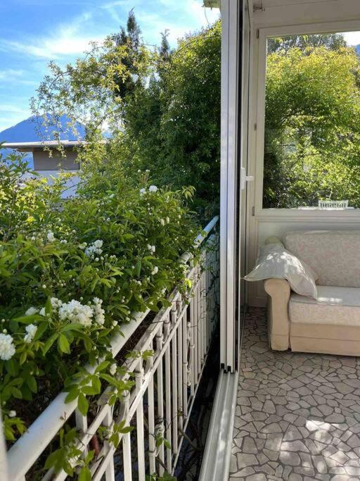 Laurelia Suites