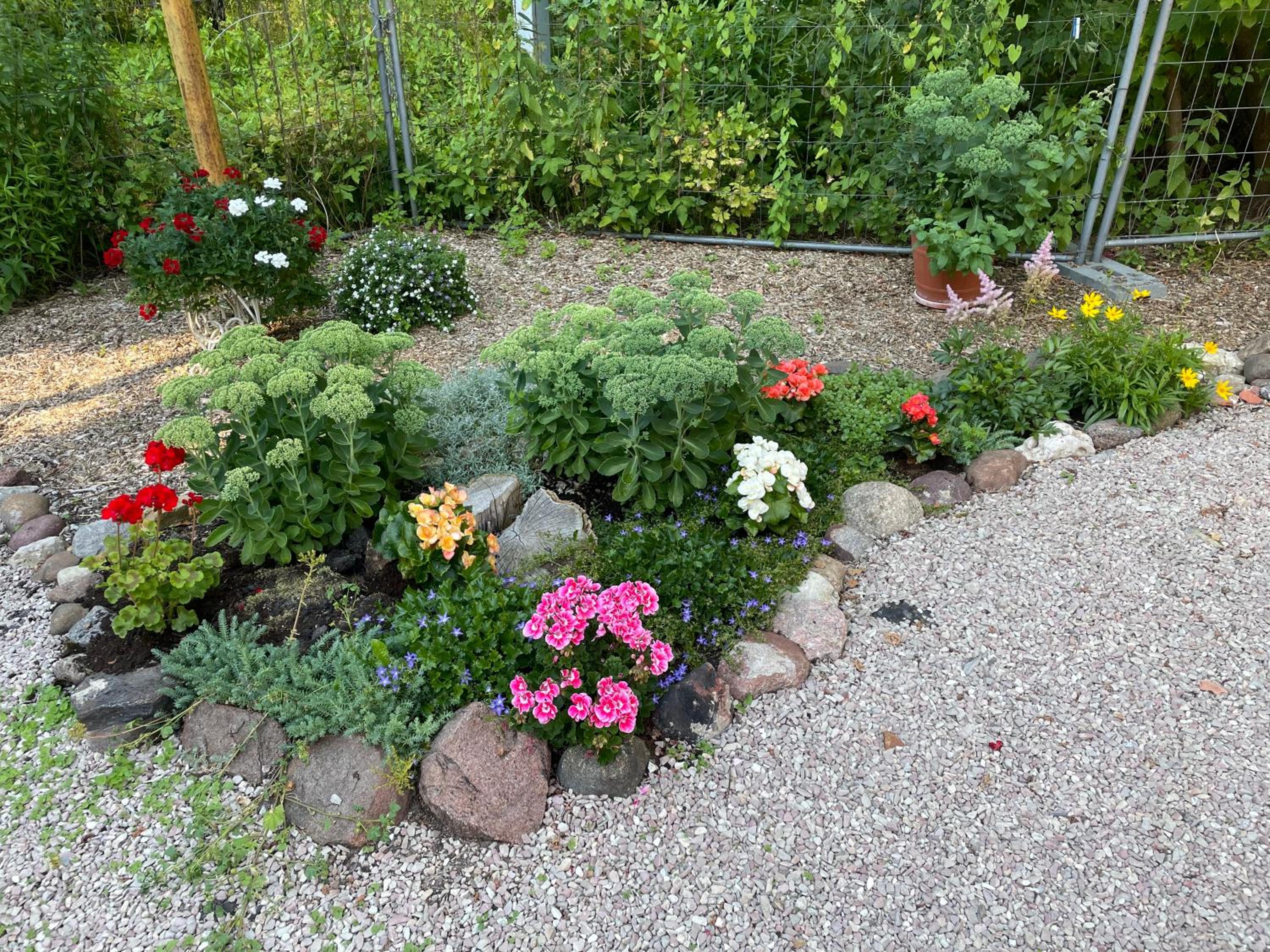 Photo 42