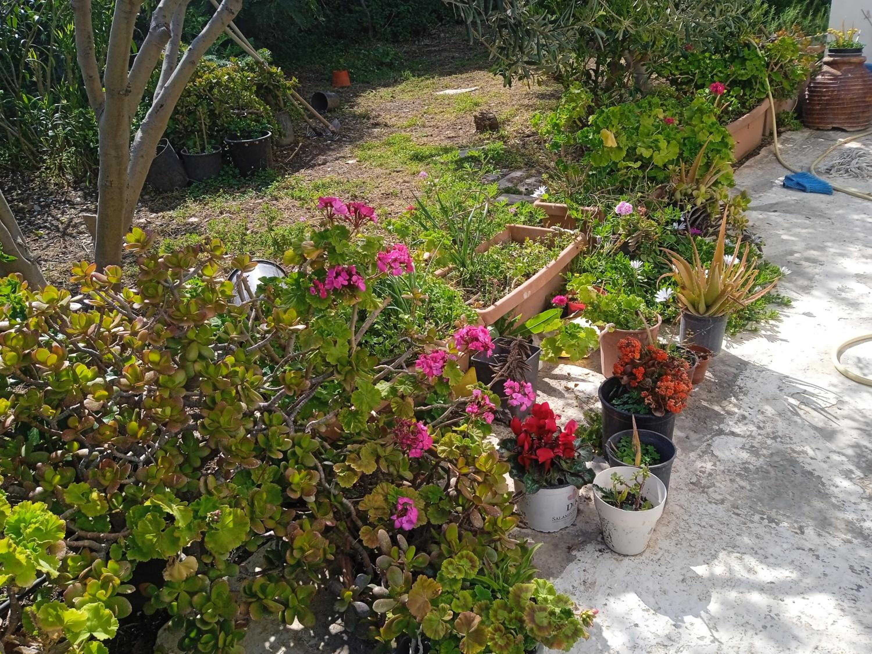 Photo 26