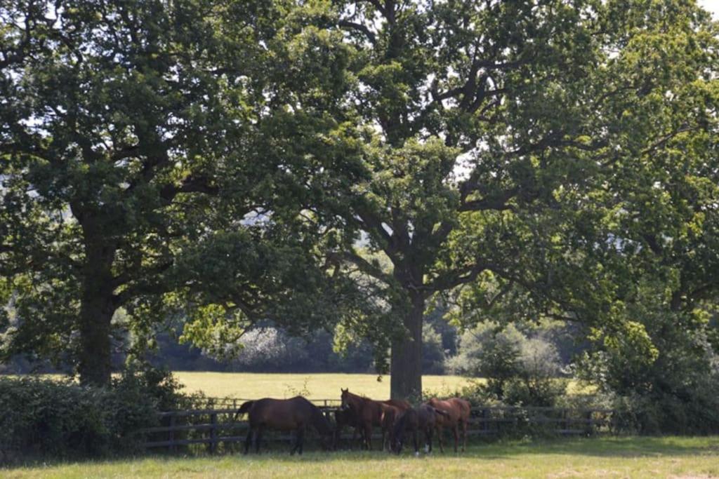 The Annex, Westerlands, Graffham
