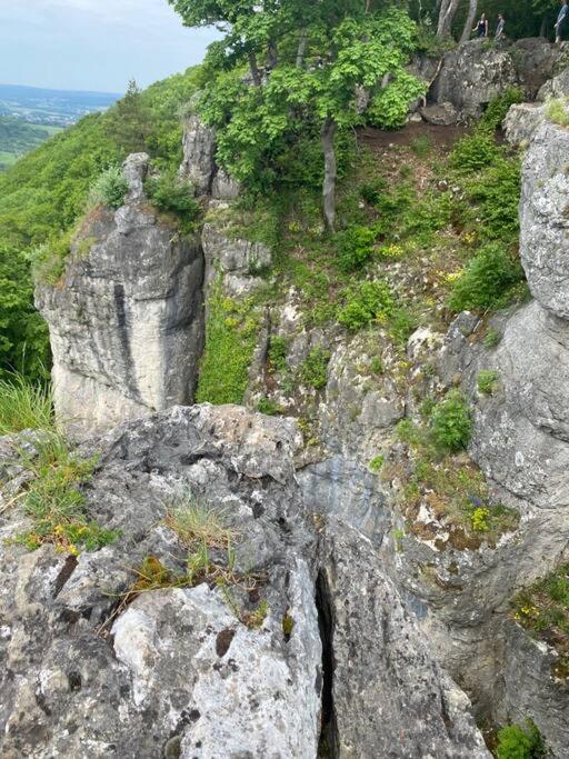 Ländliche Fewo Wildblume, 4 km zum Stausee