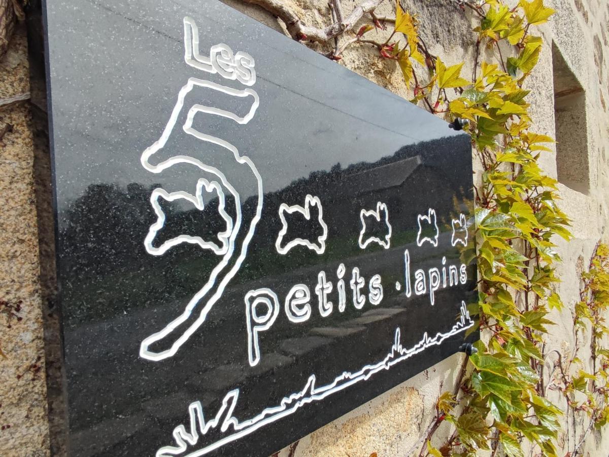 Les 5 Petits Lapins view 2