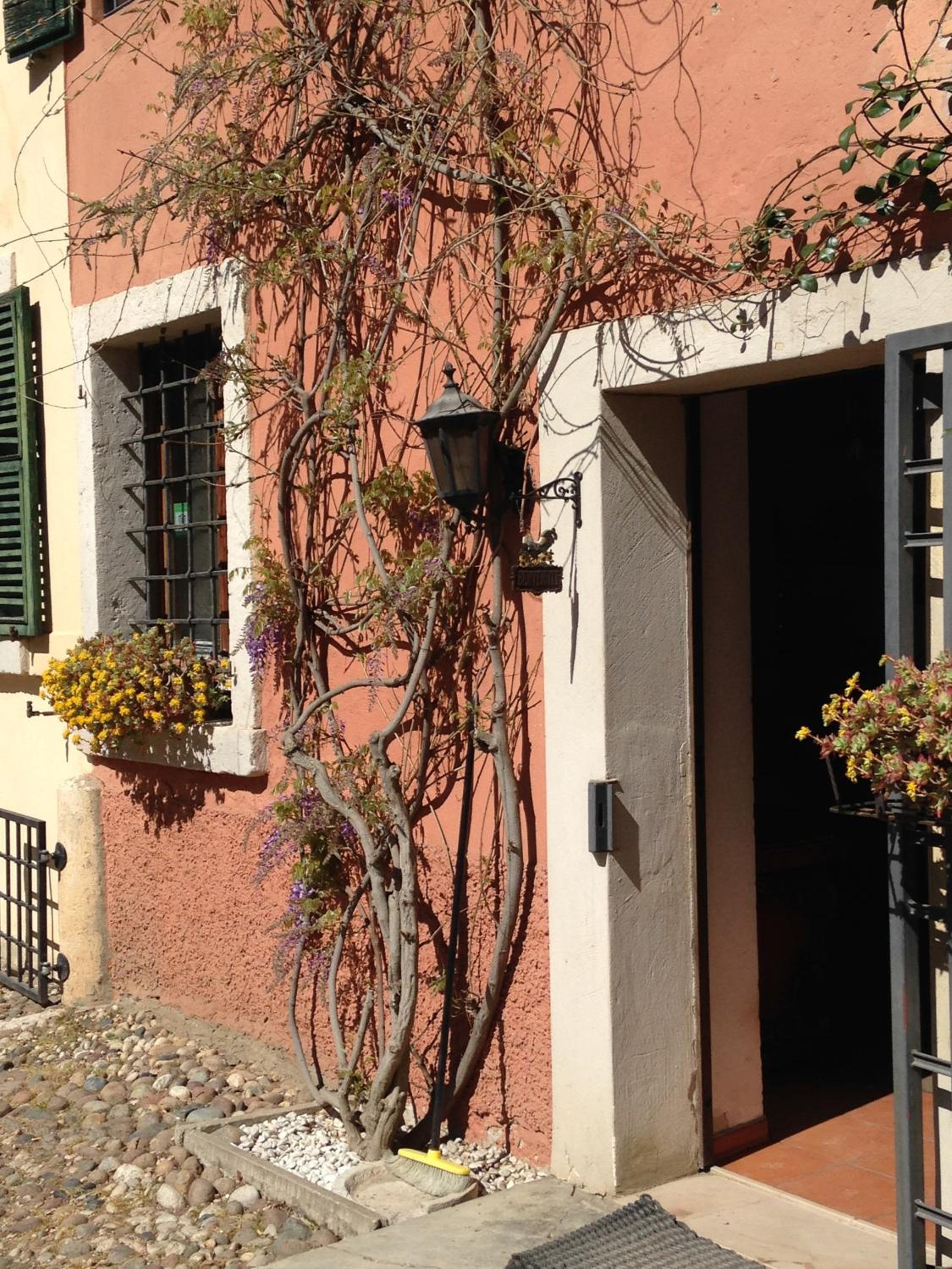 Agriturismo Corte Pellegrini