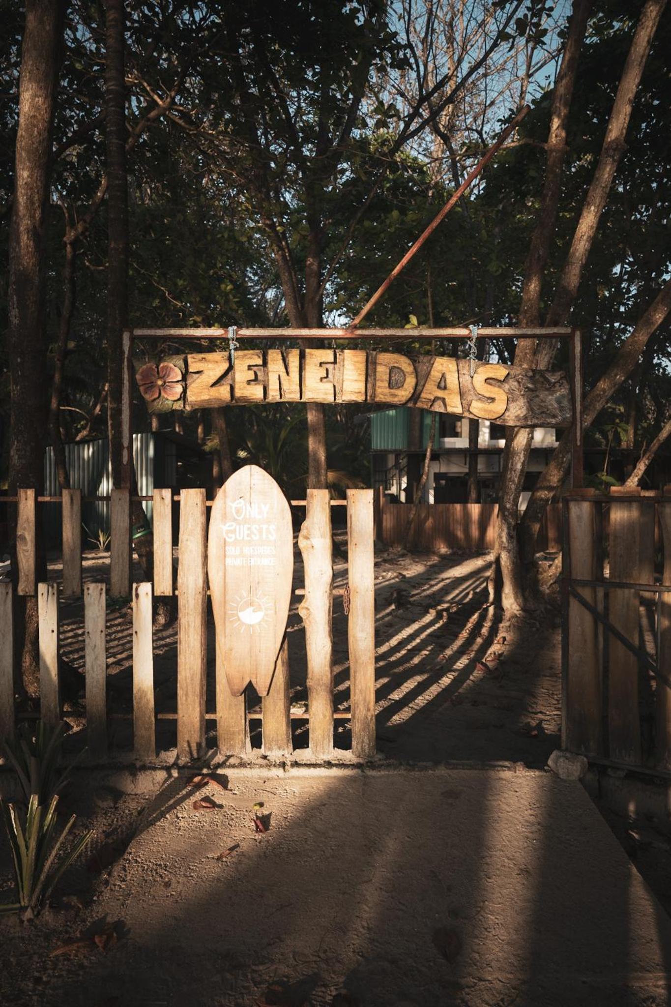 Zeneidas Surf Garden view 2