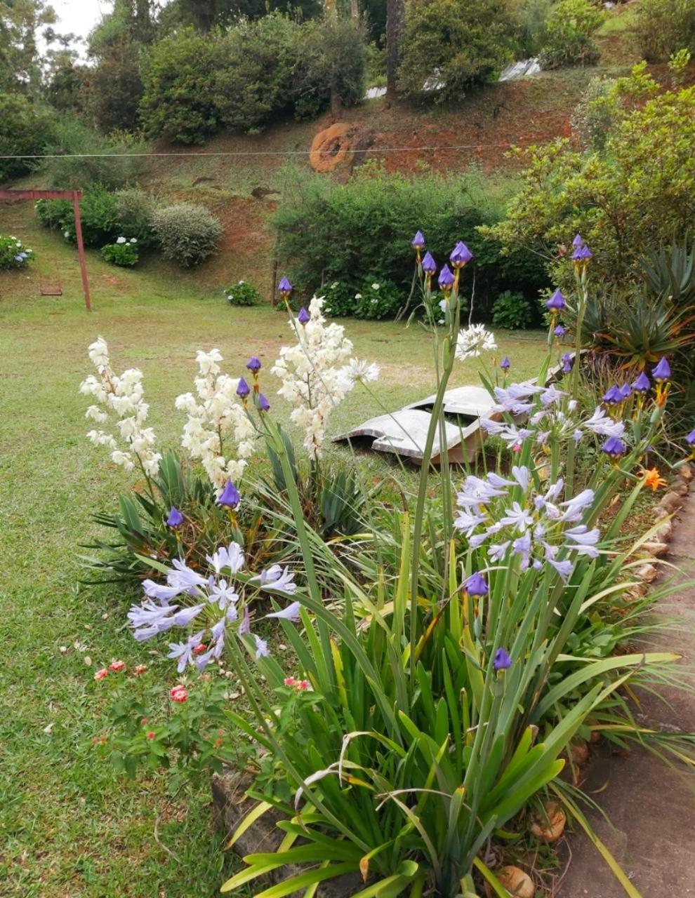 Casa em Campos do Jordão - 3 quartos, com churrasqueira
