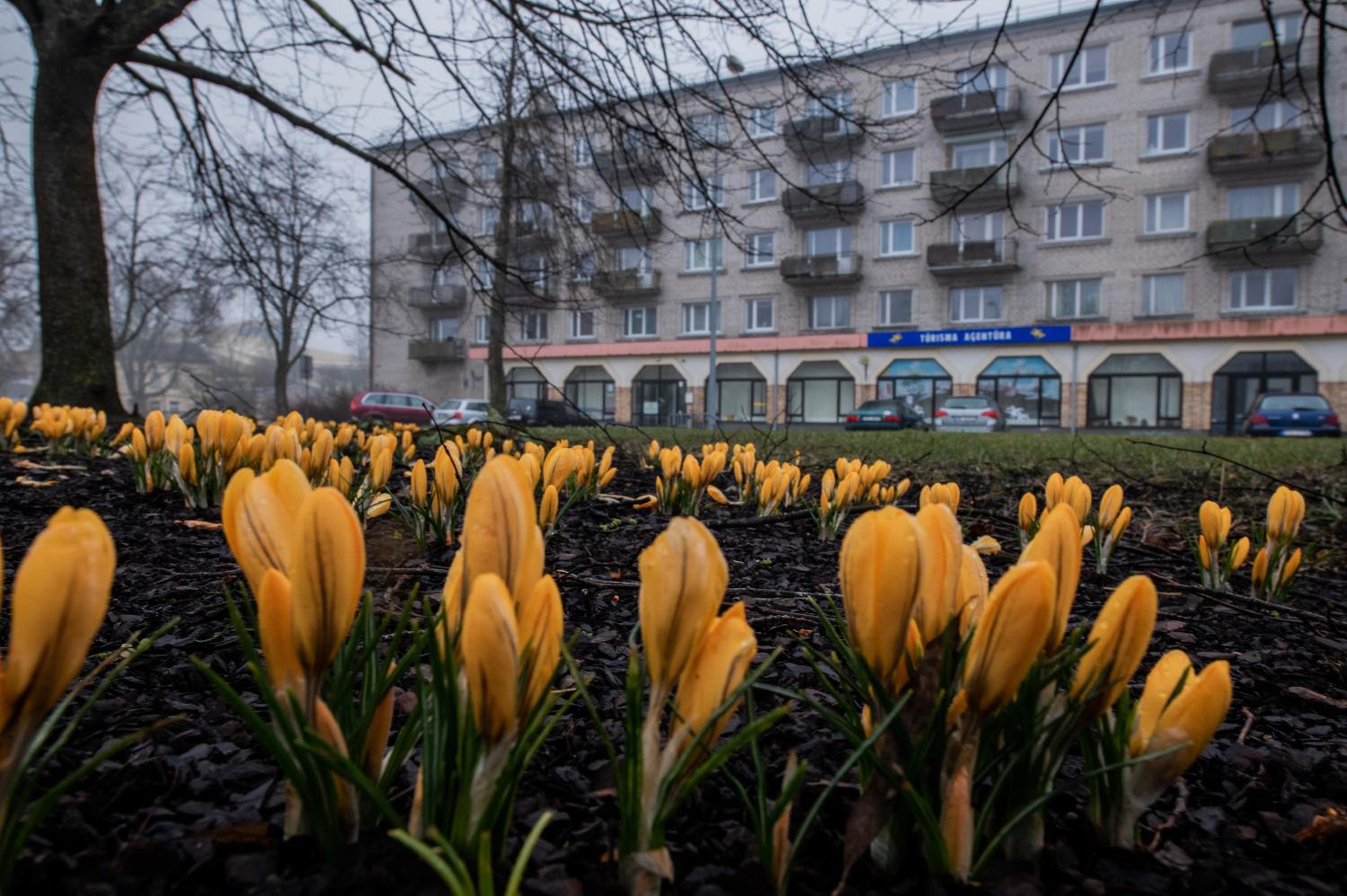 LULU APARTAMENT