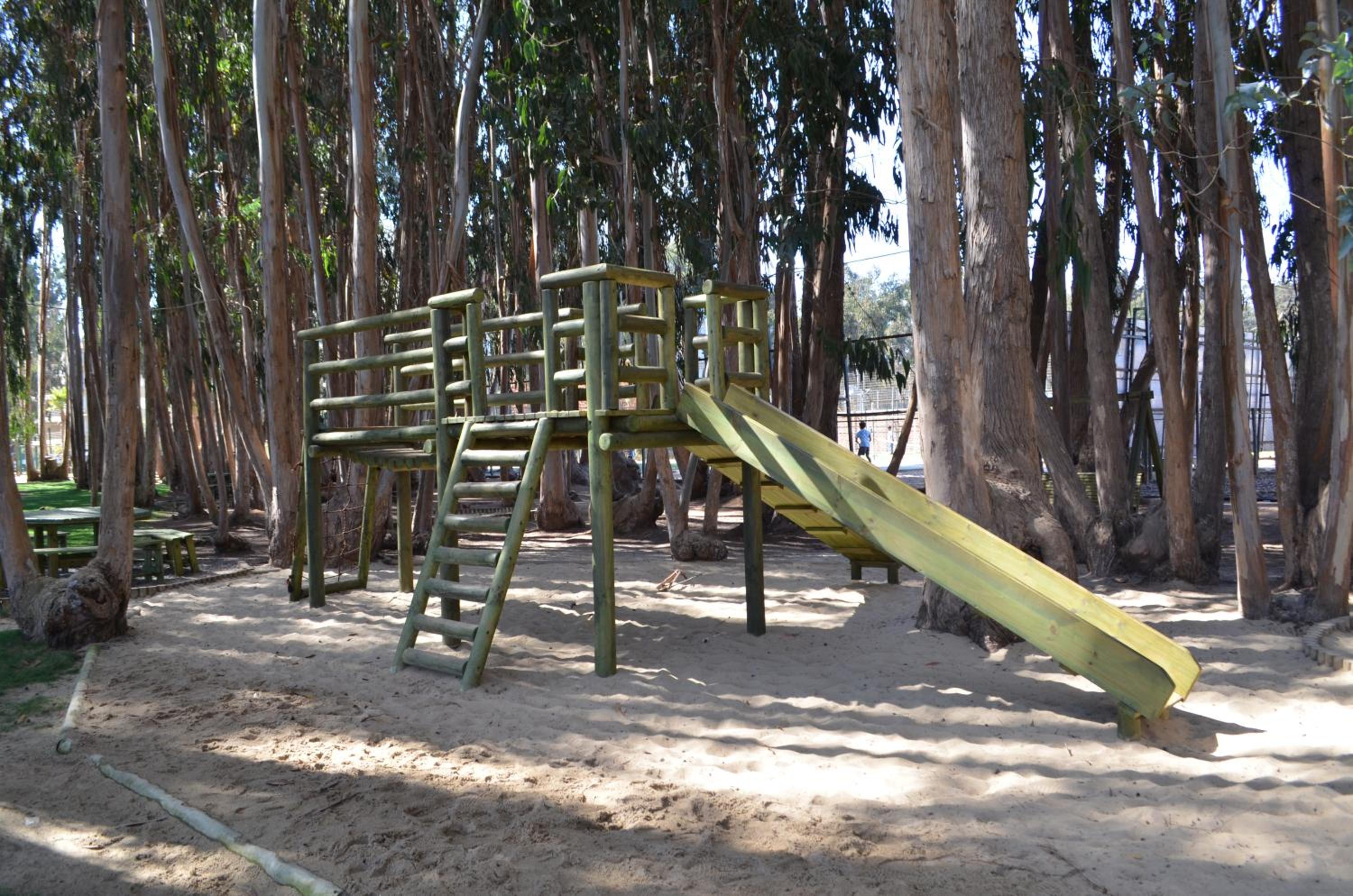 Dpto Algarrobo