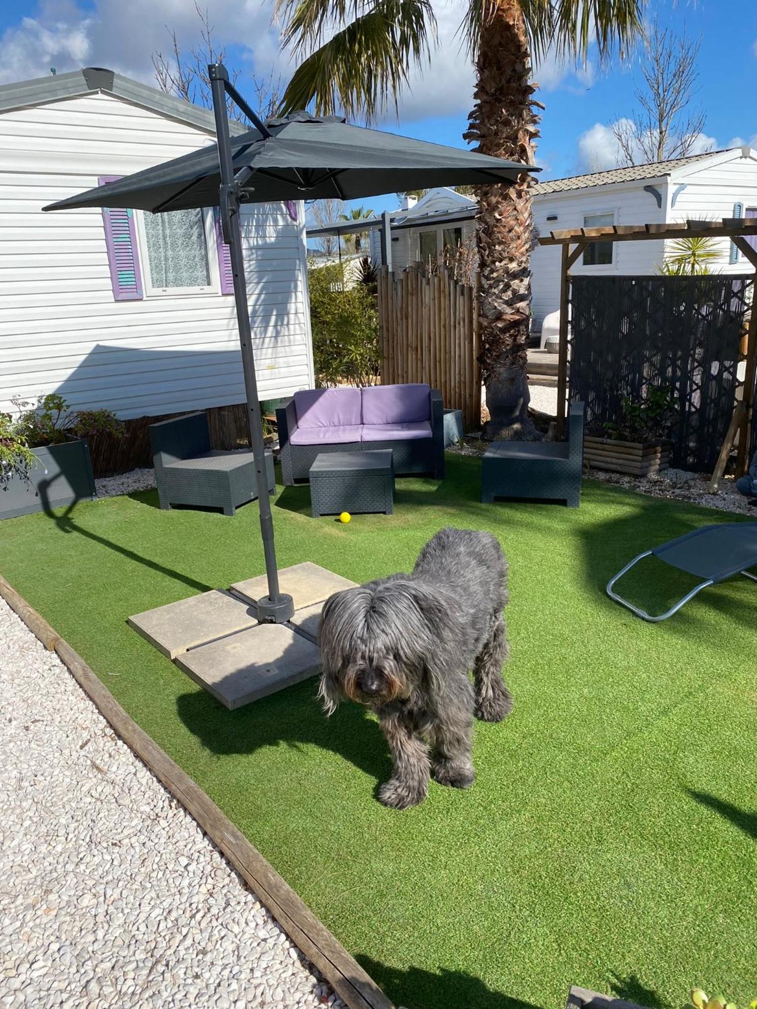 Mobil home 6 personnes camping 4* Les Pins Maritimes, photo 5