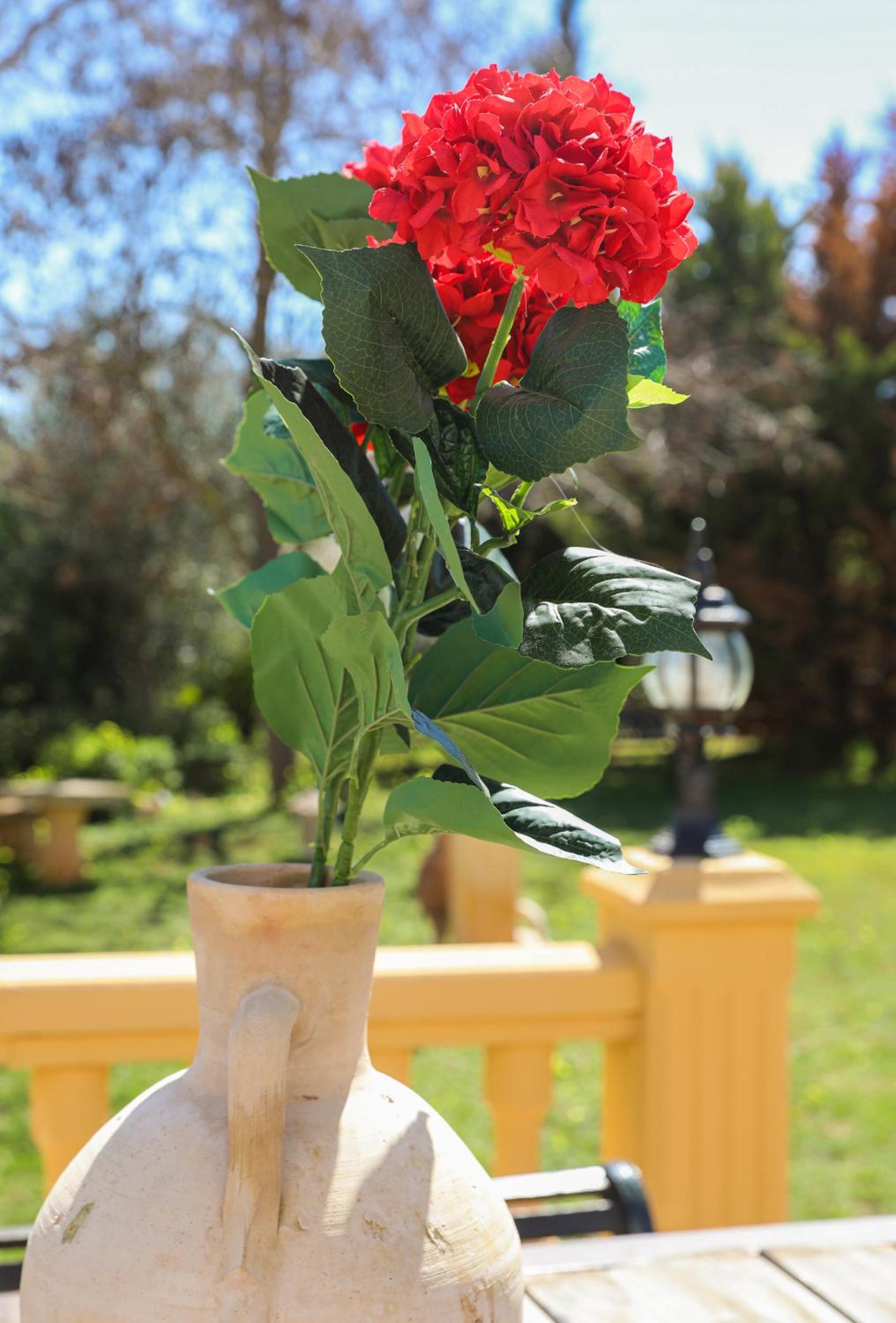 Casa Elizabeth