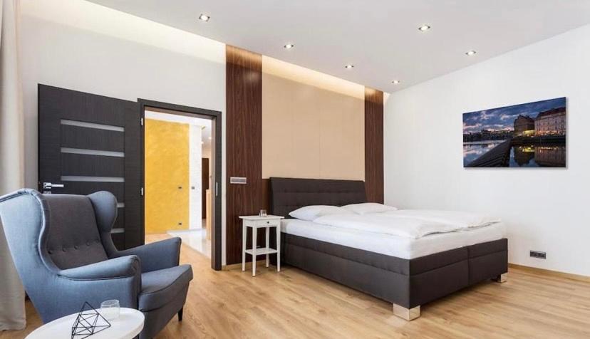 Luxury Apartment on Wenceslas Square