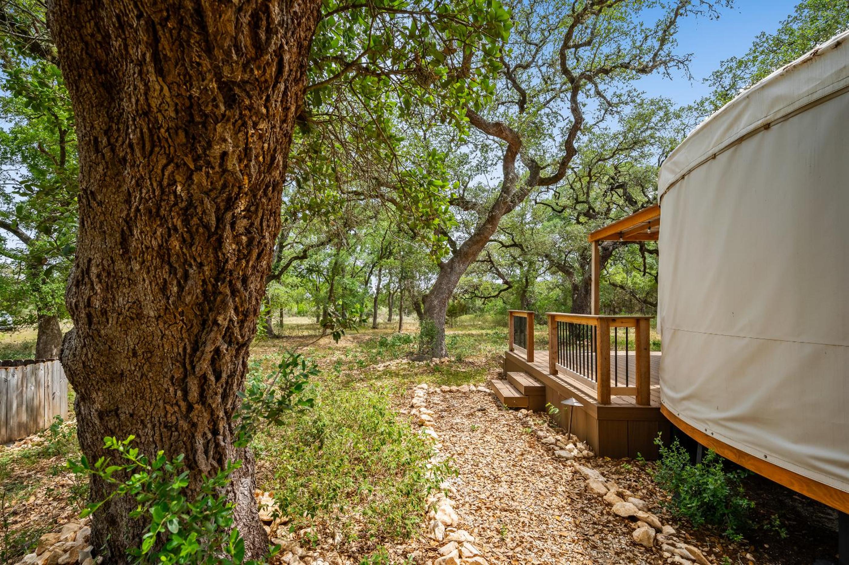 OT 3515H Texas Yurt Haus Horned Frog view 3