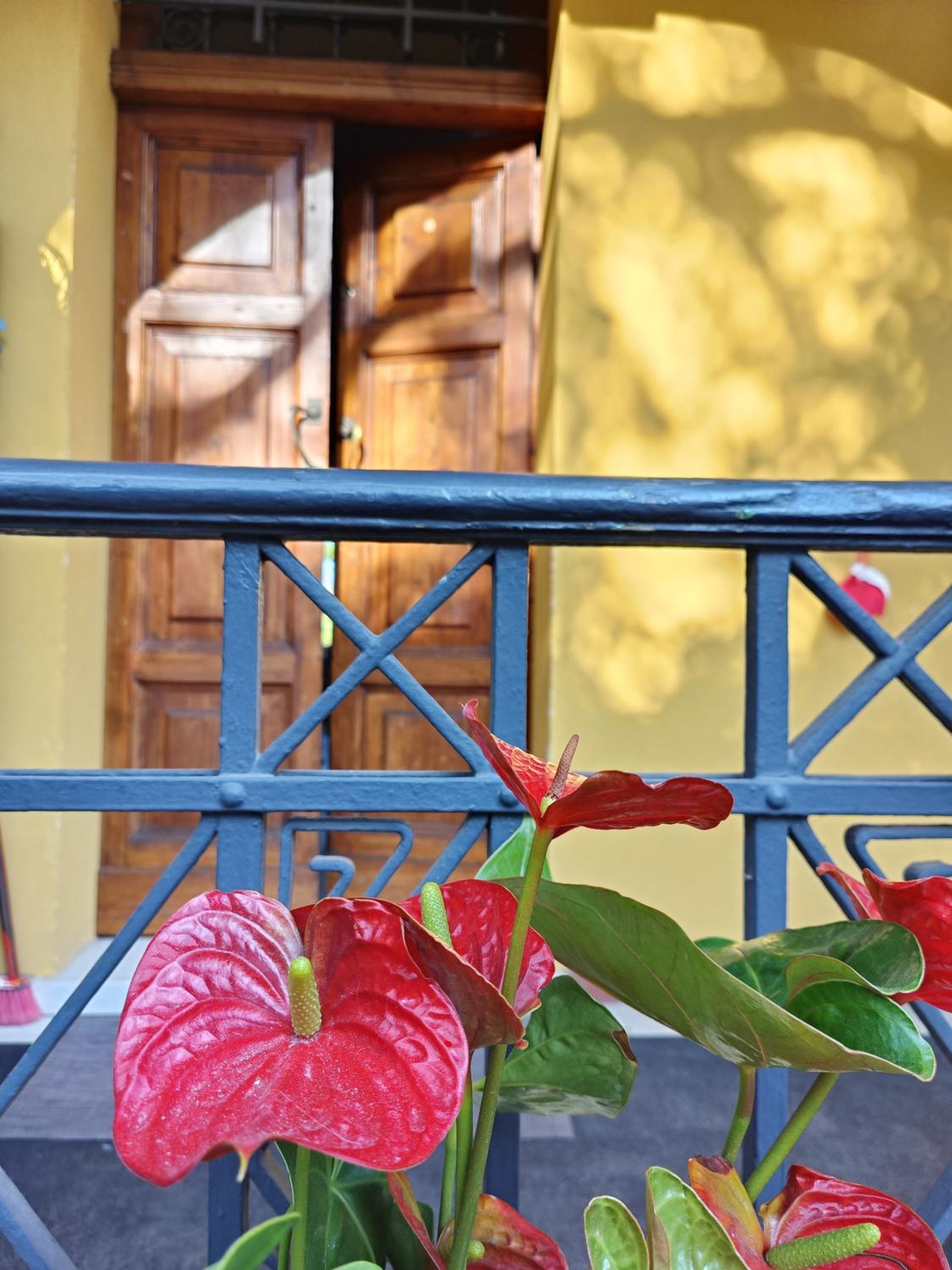 Villa Baldini - Apartment & Rooms view 3