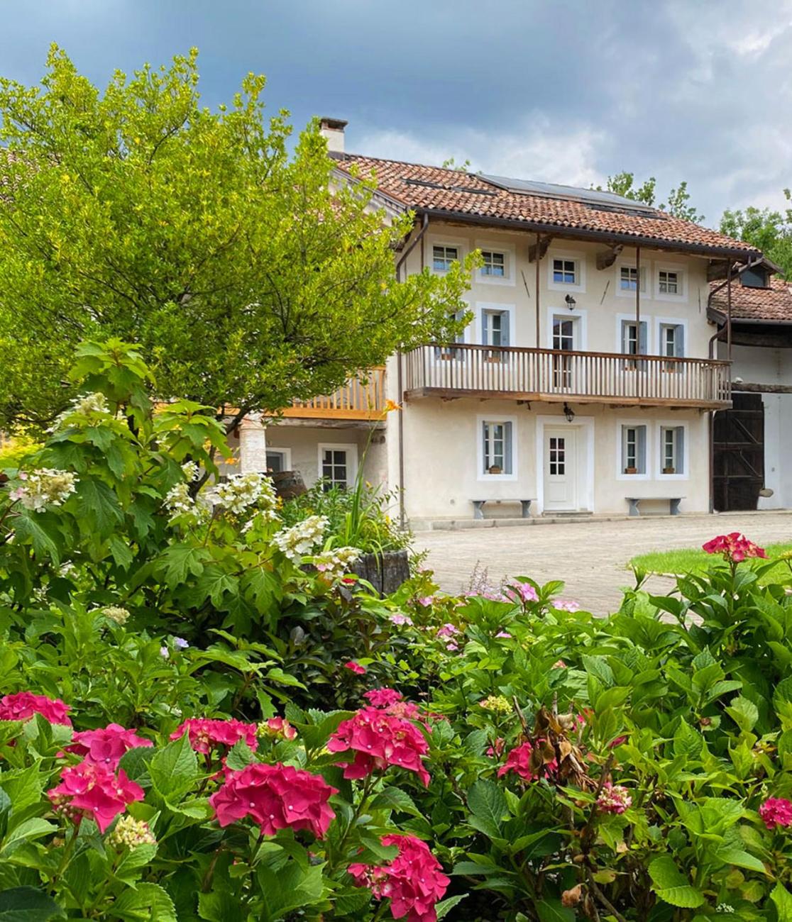 Casa delle Arti Fattoria dei fiori view 2