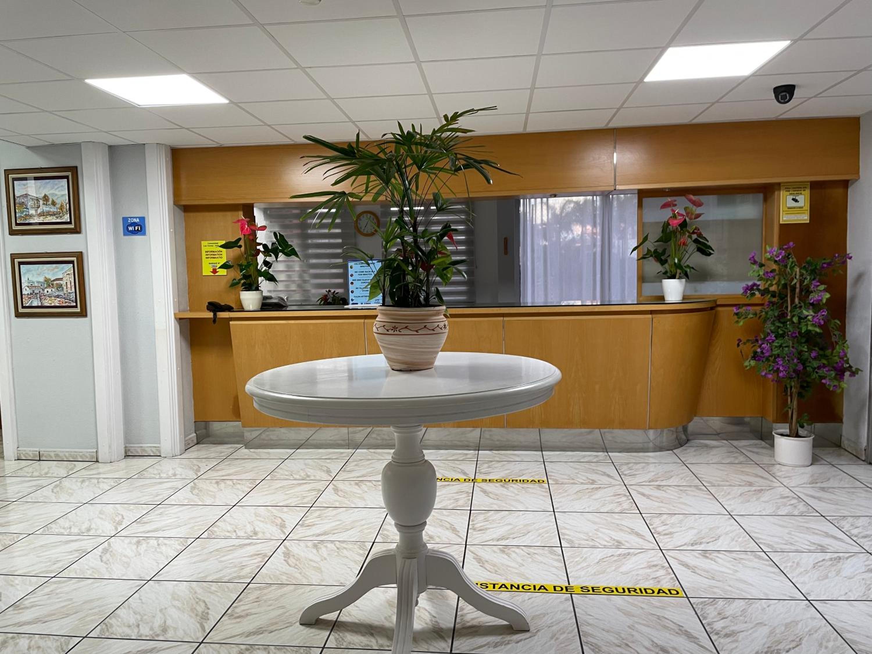 Apartamento en playa jardín