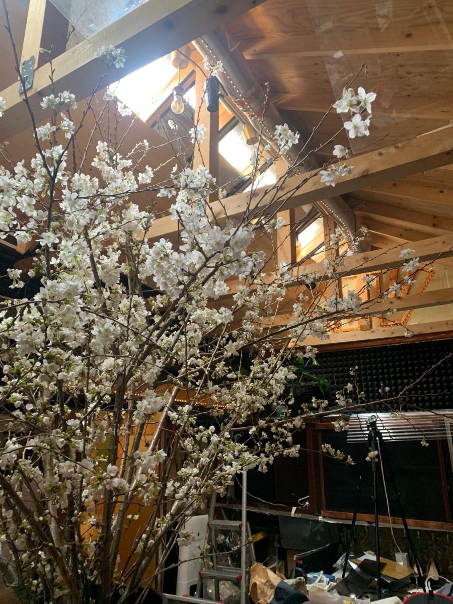 Gasthaus 44 Higashimikuni