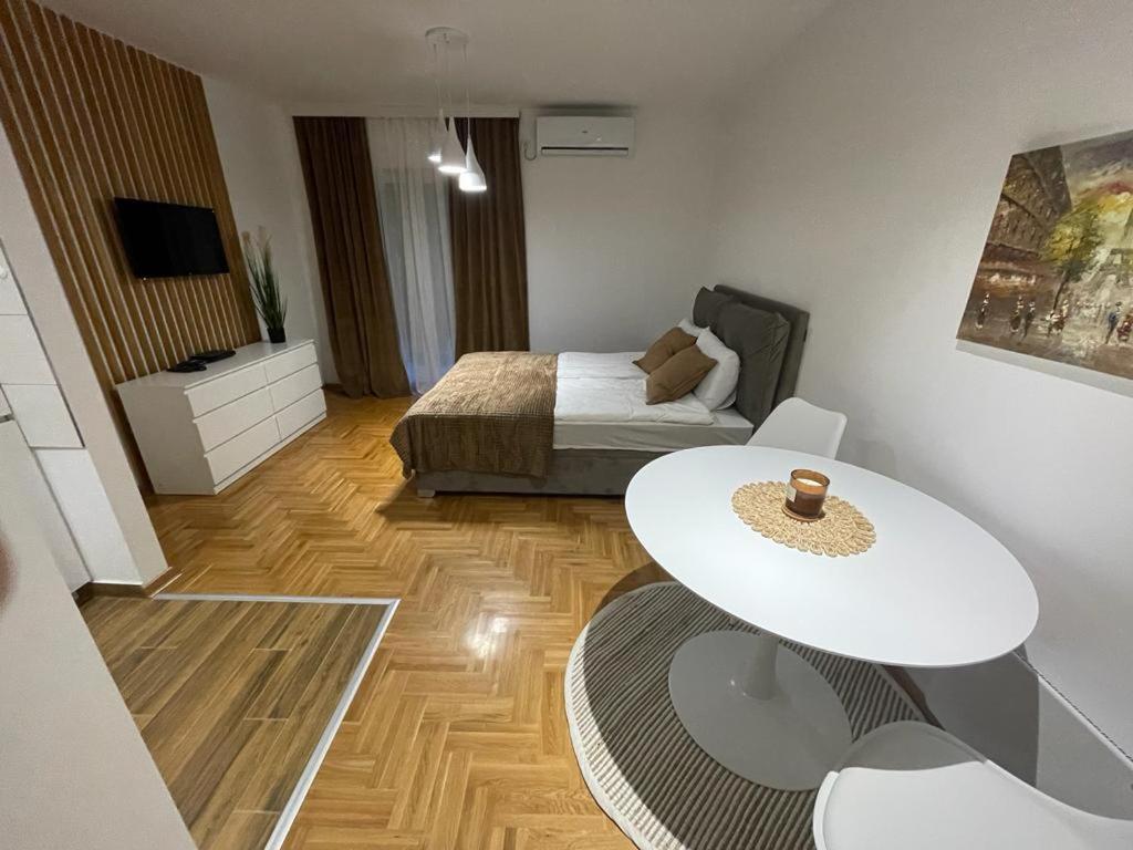 LL65 Apartmens Airport Nikola Tesla view 4