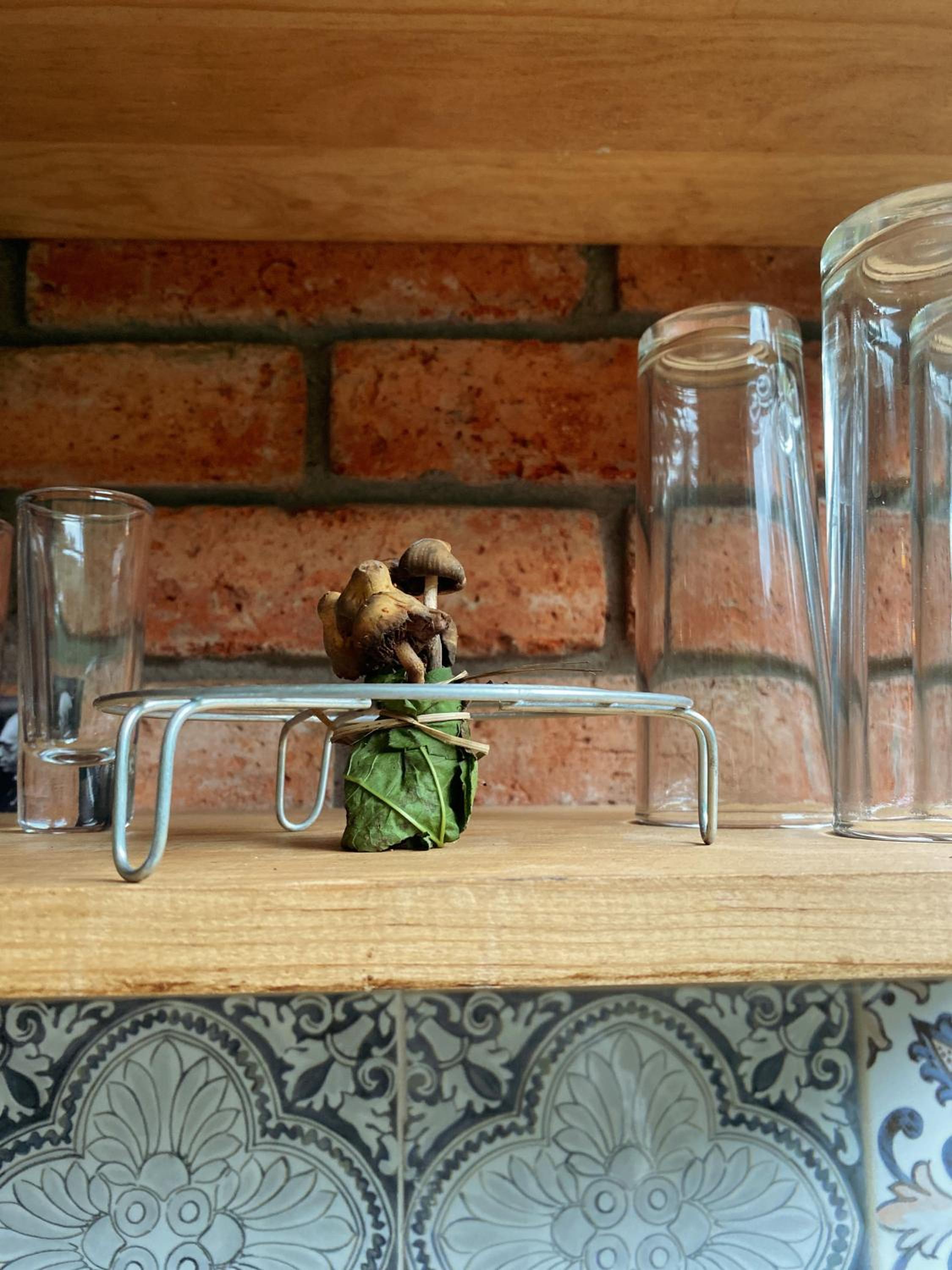 Tiny House
