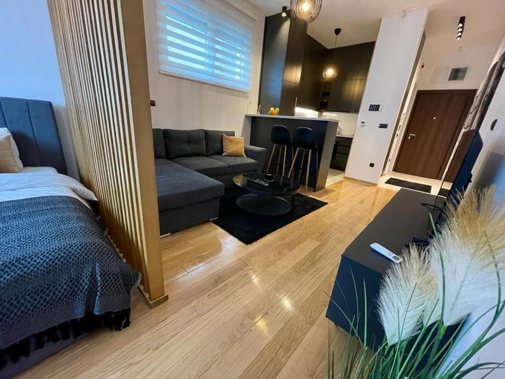 LL65 Apartments Vracar view 5