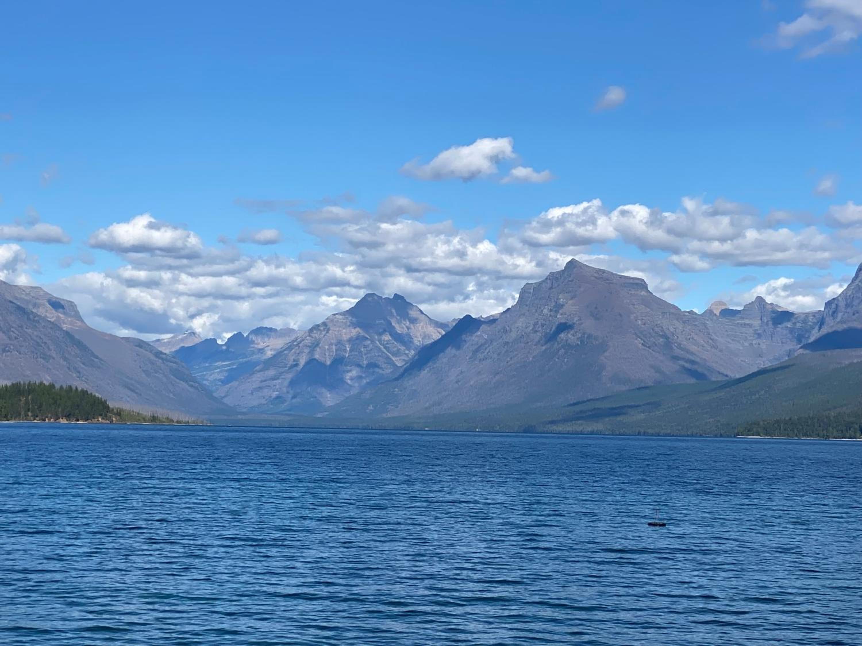 Reclusive Moose Cabins