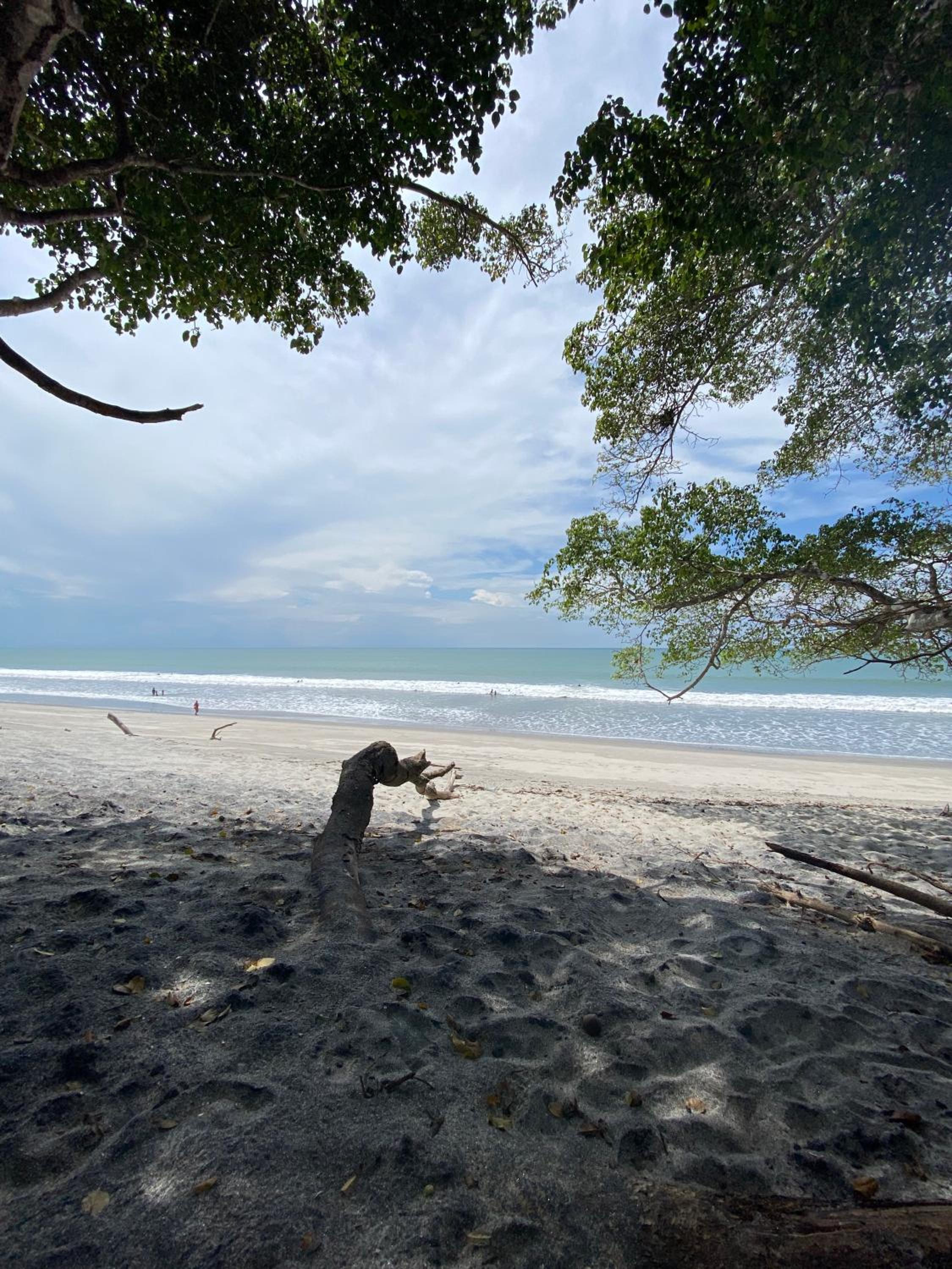 A Piece of Paradise