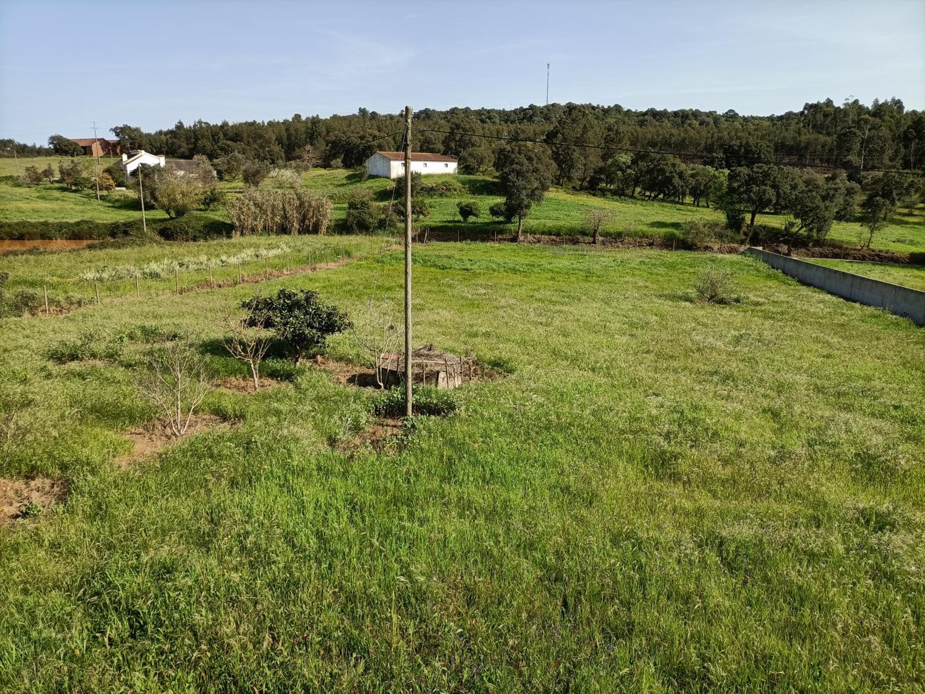 CASA MOSTEIROS