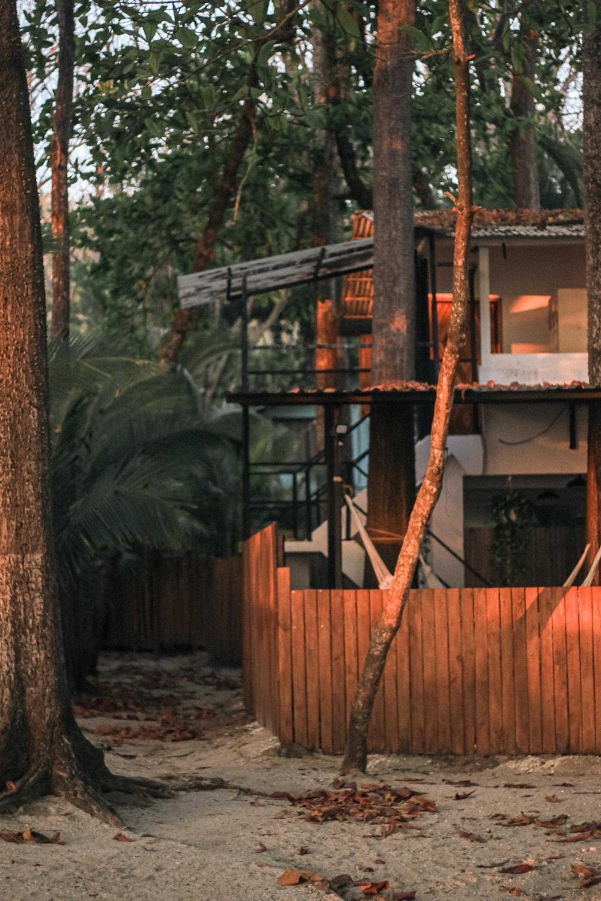 Hotel Zeneidas Surf Garden - Image 1