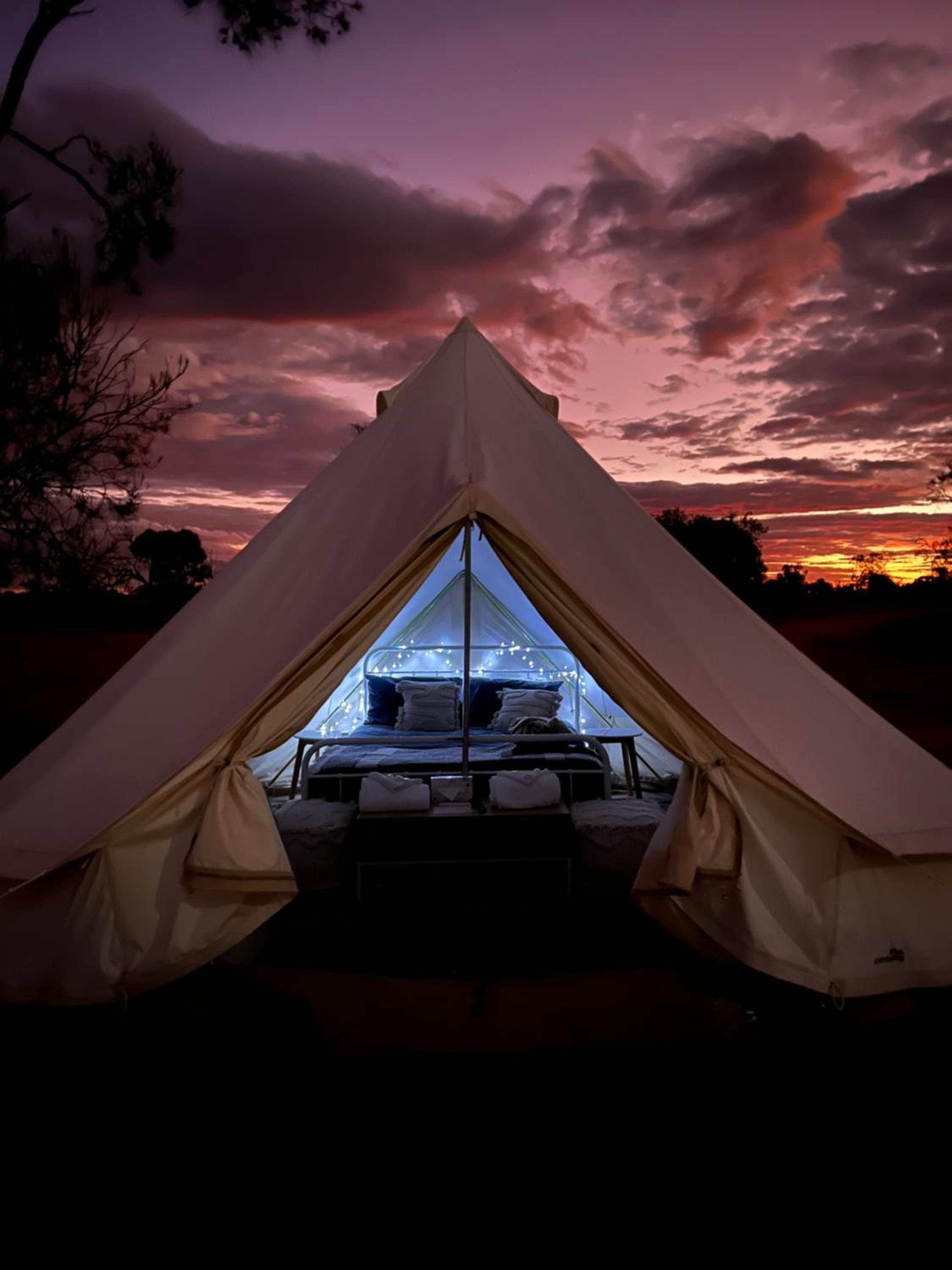 Mungo Lodge