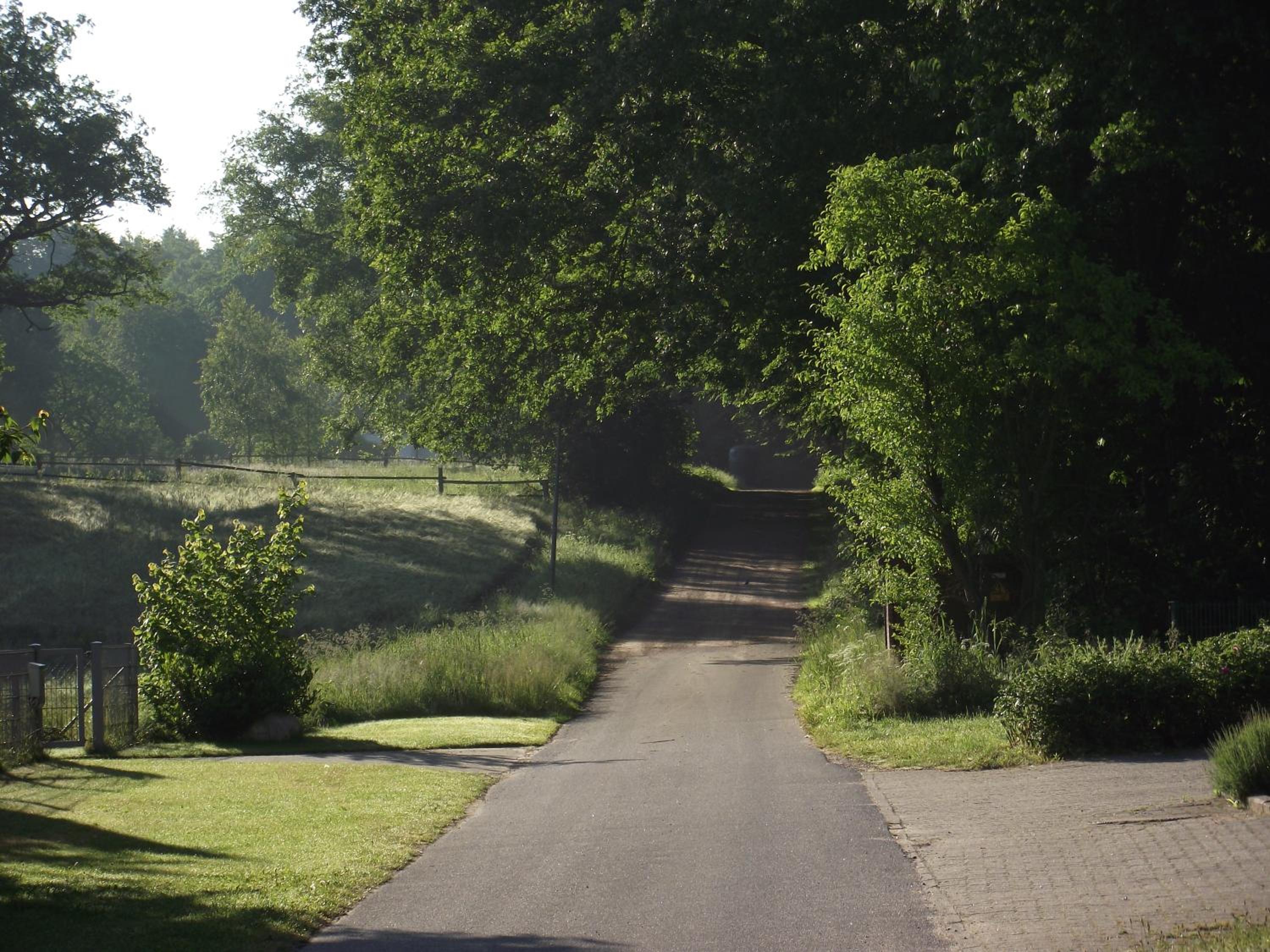 KLEINE SOUTERRAIN WOHNUNG NÄHE HAMBURG