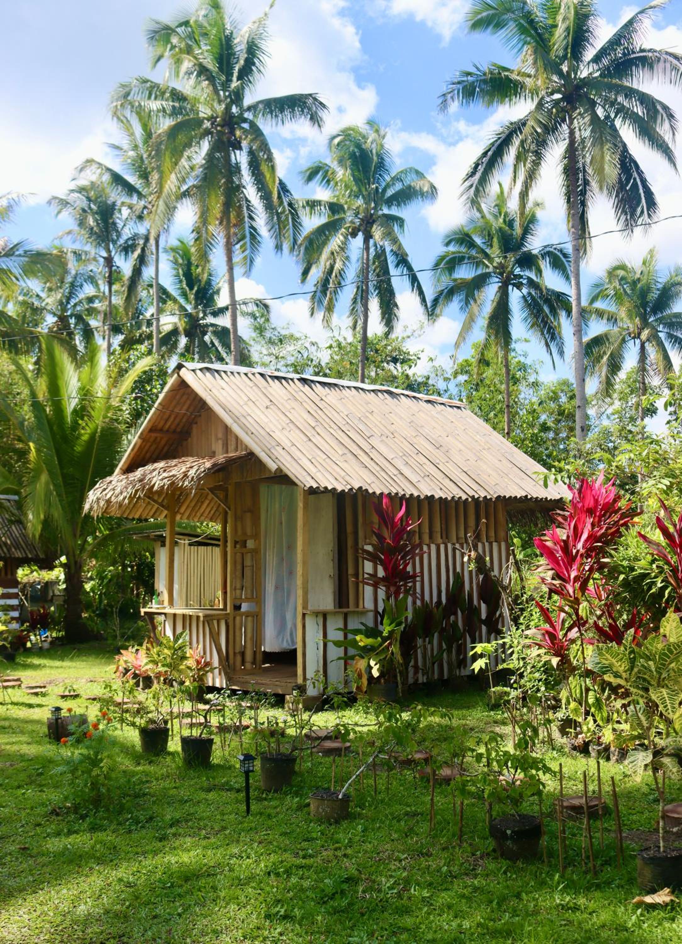 Bohol Hammock Hostel