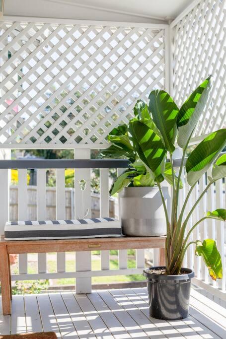 Quaint & Cosy 1 Bedroom Apartment in Queenslander.