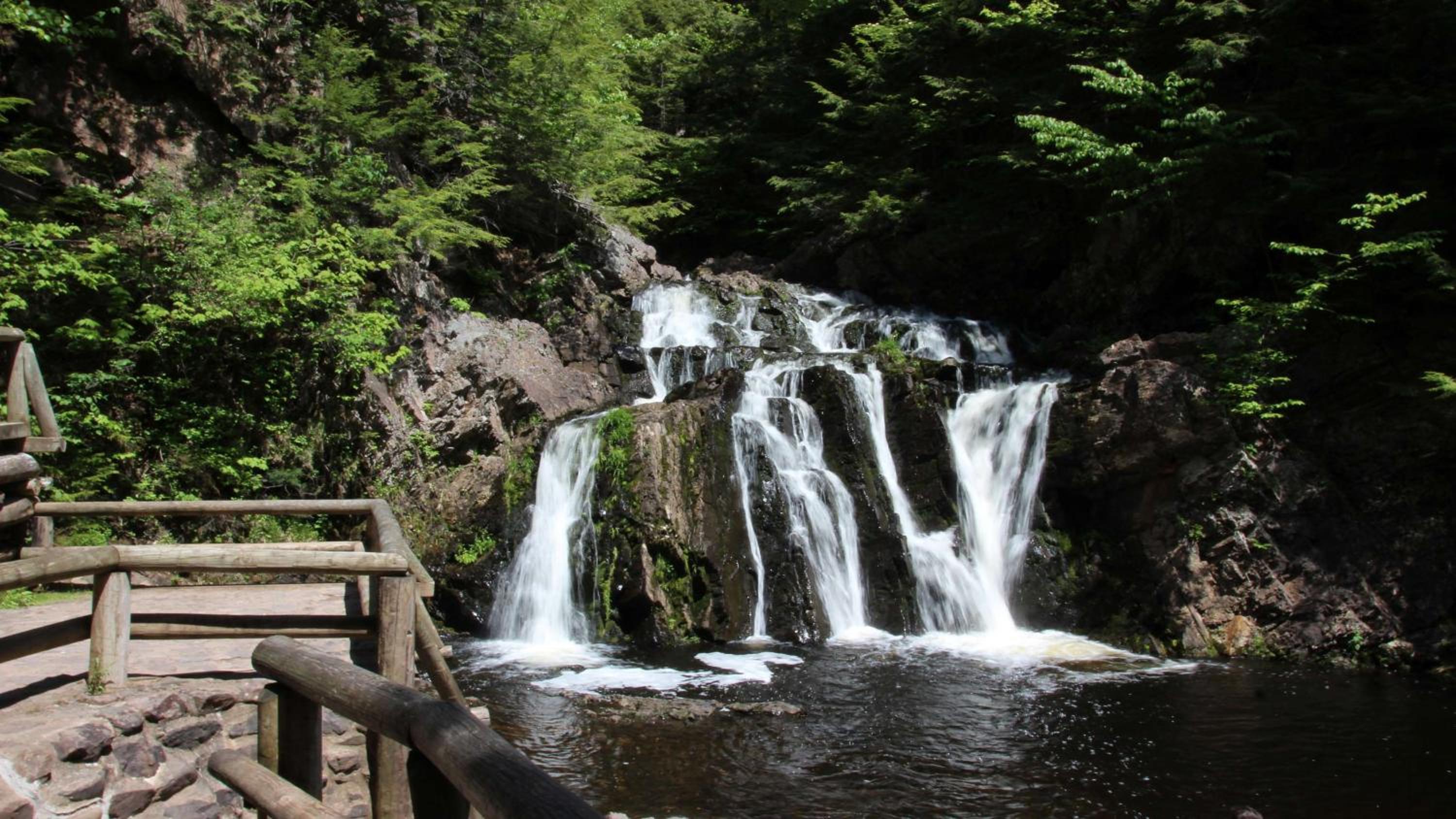 Brattleboro Vacations - Holiday Inn Express Hotel  Suites Brattleboro, an IHG Hotel - Property Image 84