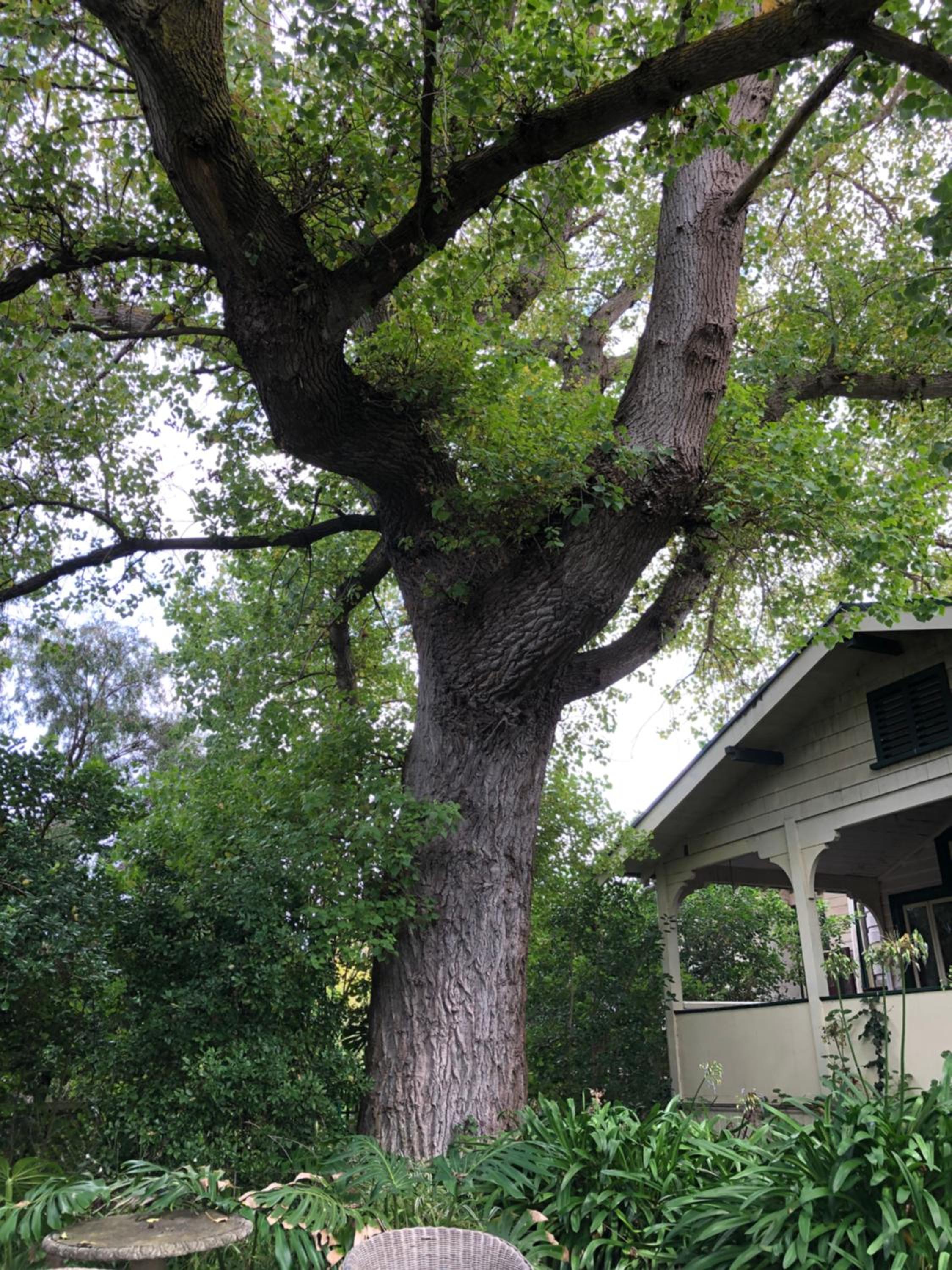 Lorelei Bed & Breakfast