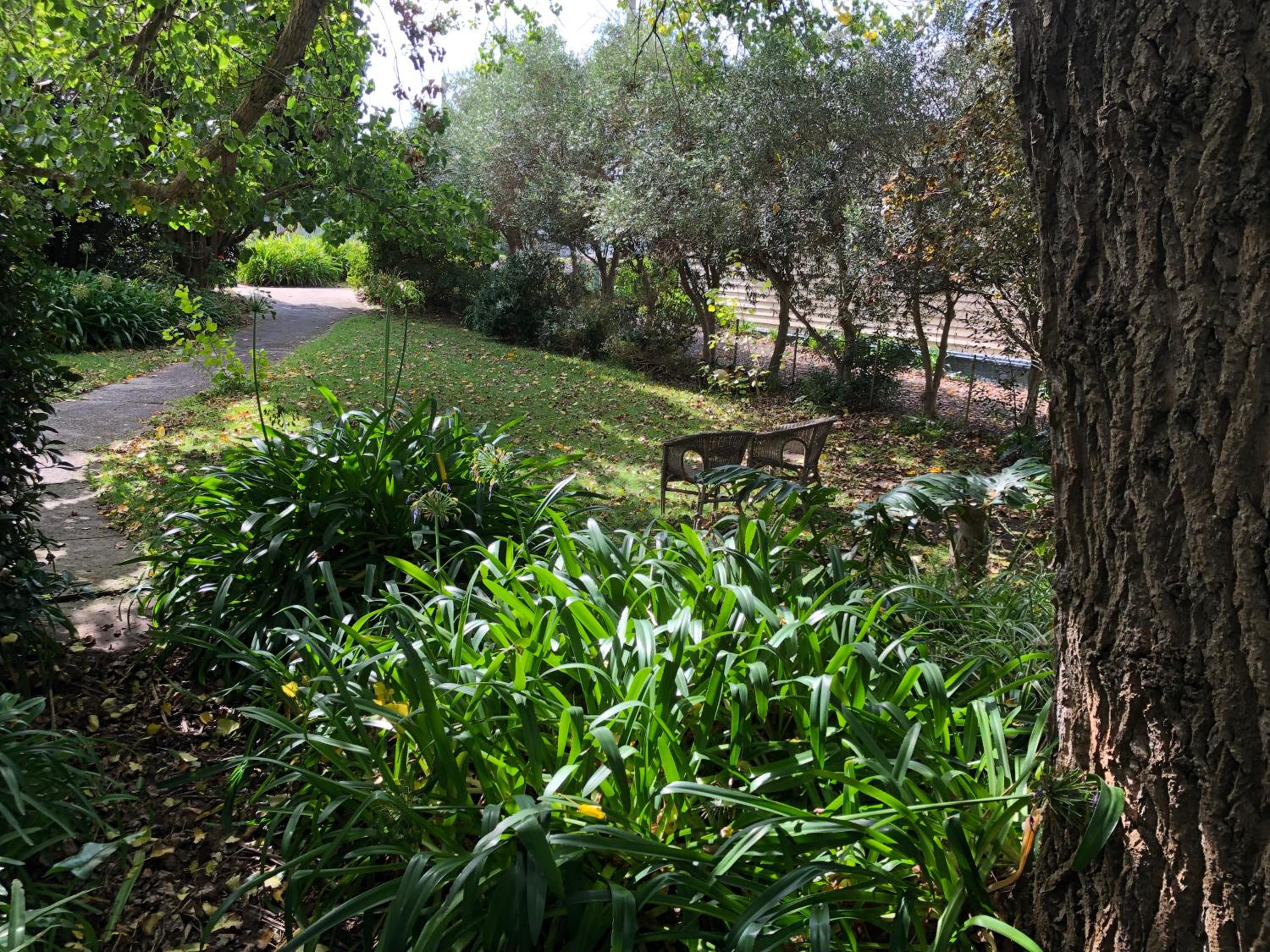 Lorelei Bed & Breakfast
