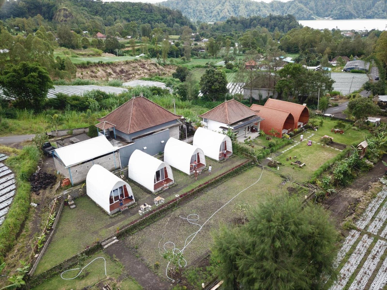 Volcano rim Kintamani