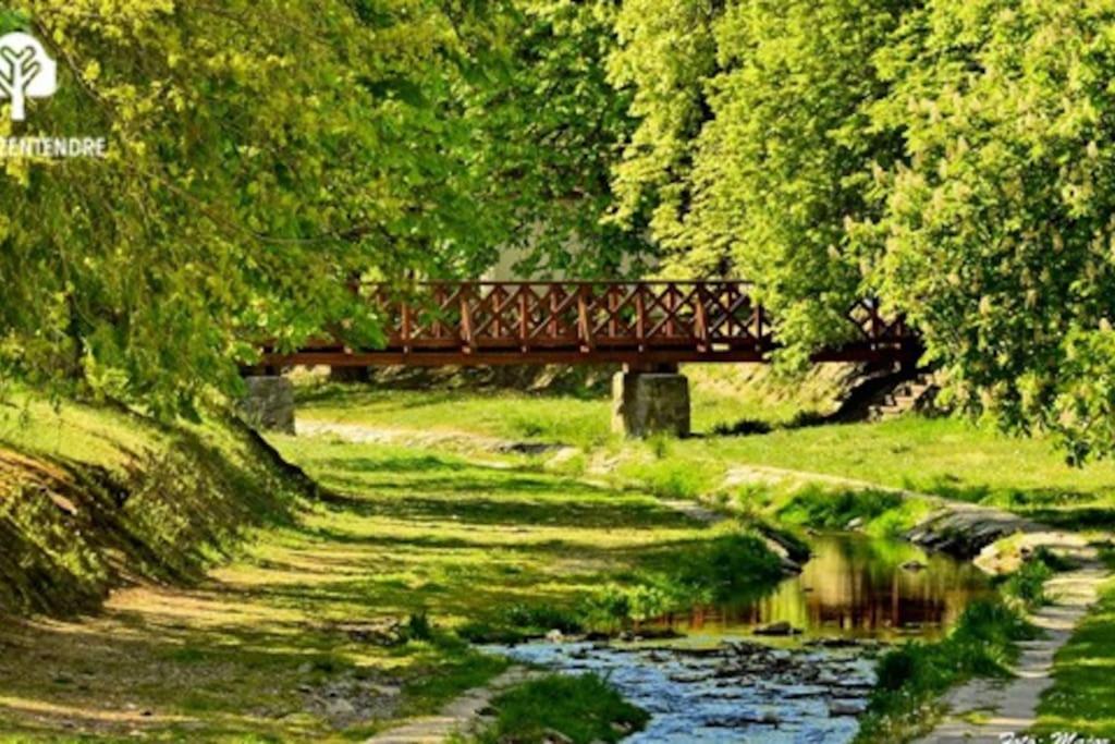 Belvárosi allódium tetőterasszal