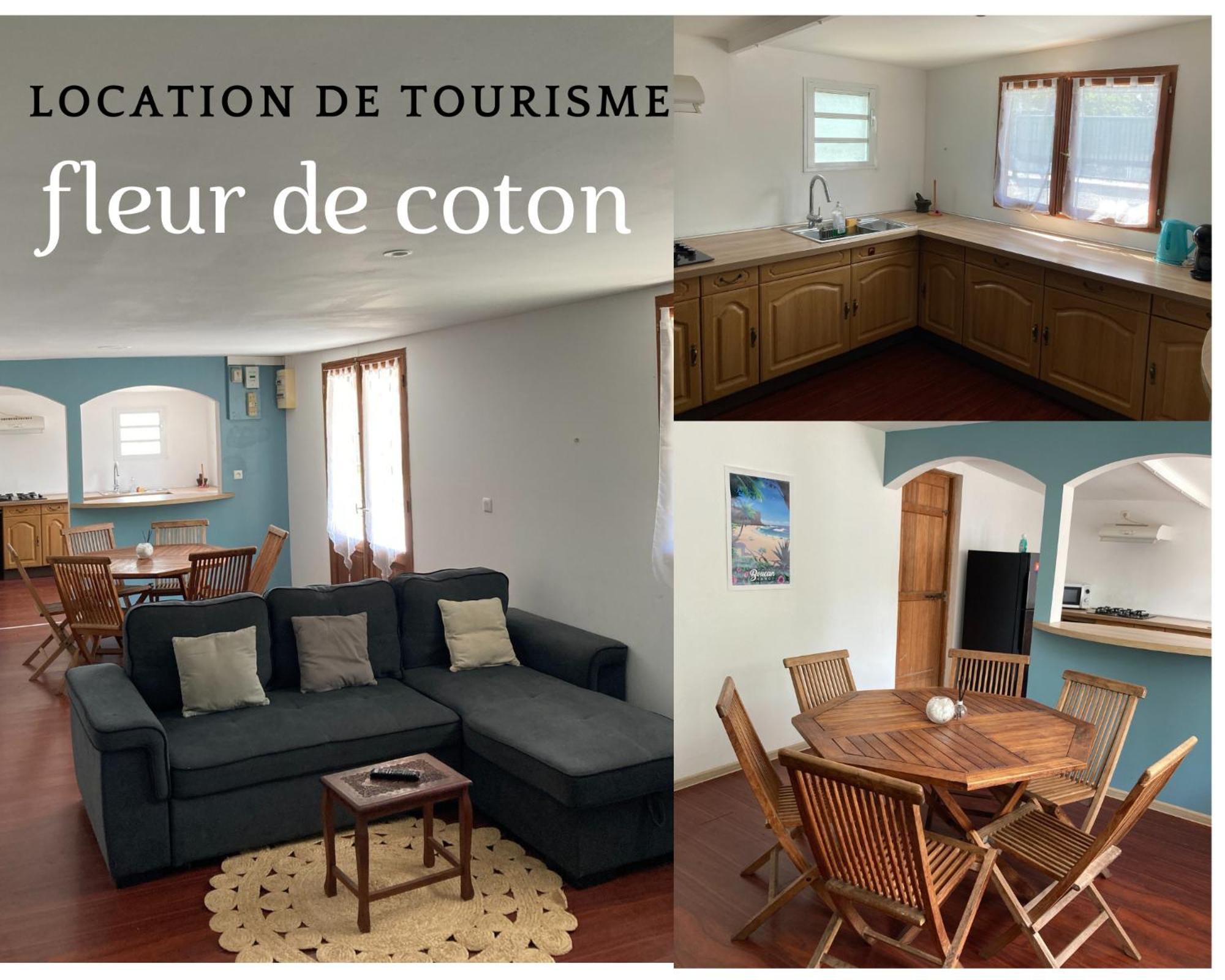 fleur de coton location saisonnière view 5