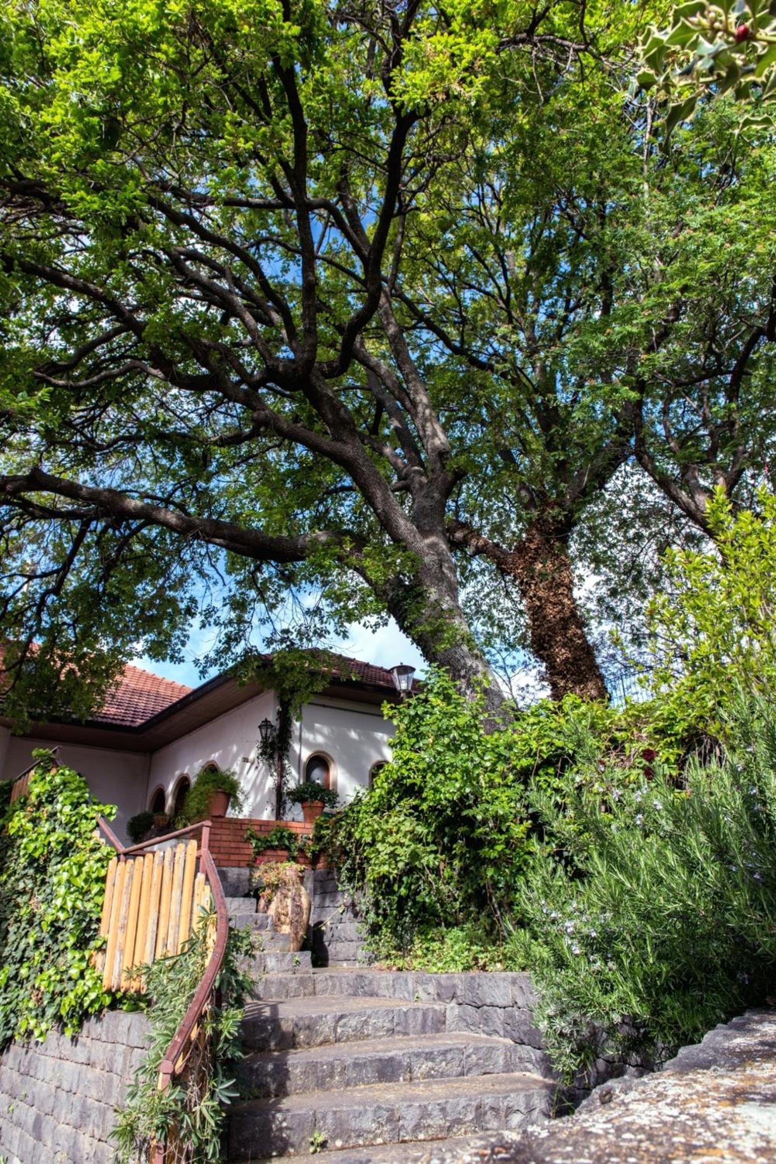 Domus Verdiana