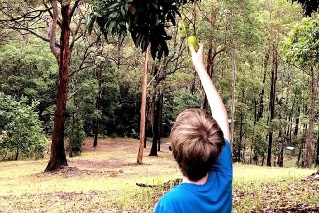 Noosa hinterland acreage close to the beach