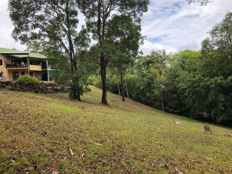 Noosa hinterland acreage close to the beach