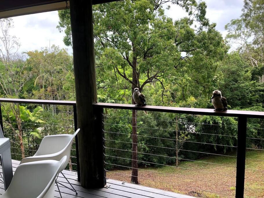 Noosa hinterland acreage close to the beach