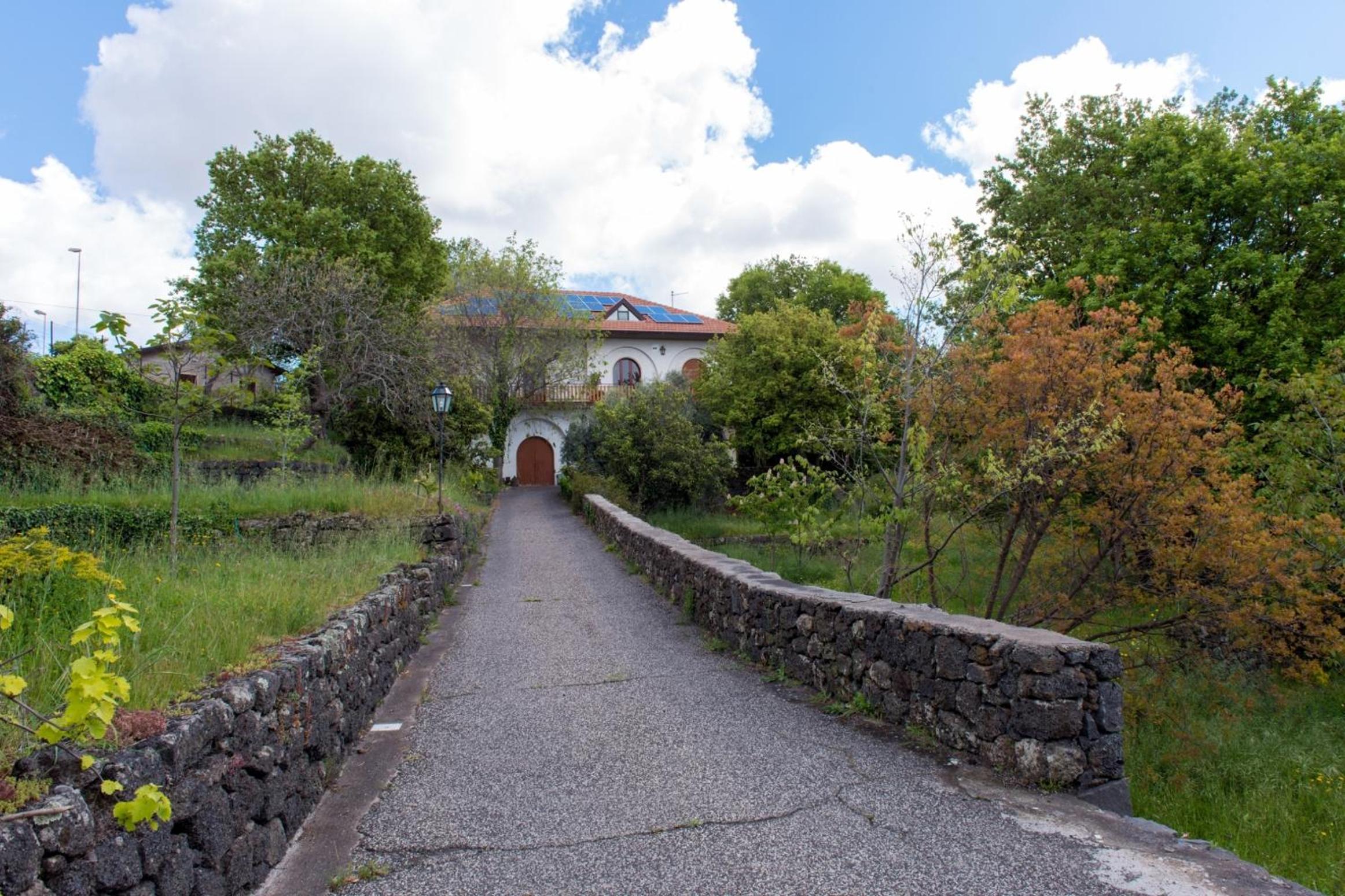 Domus Verdiana