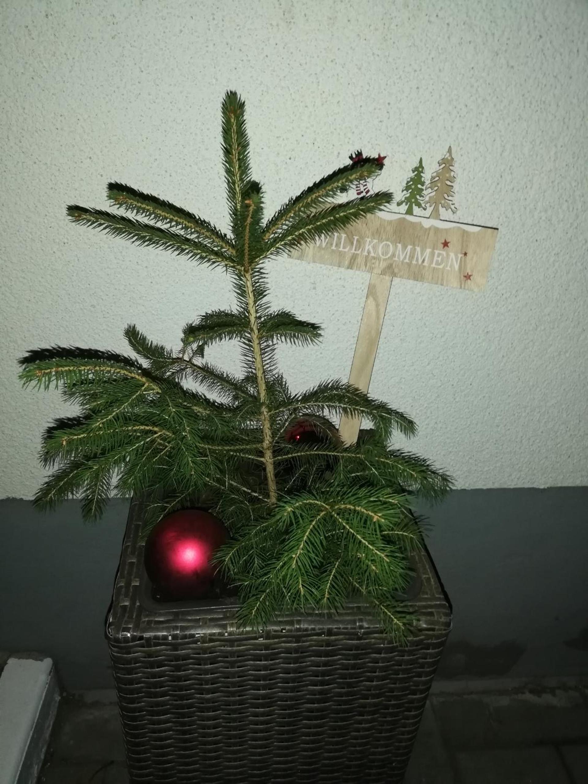 Pension Winter