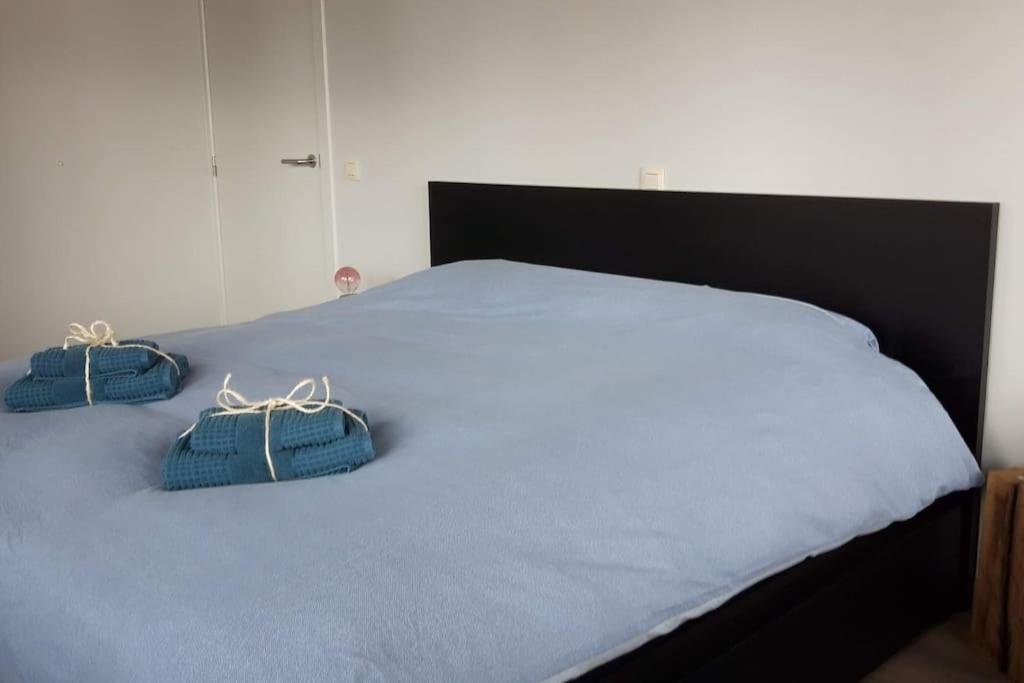 Momaison charmant landelijk appartement