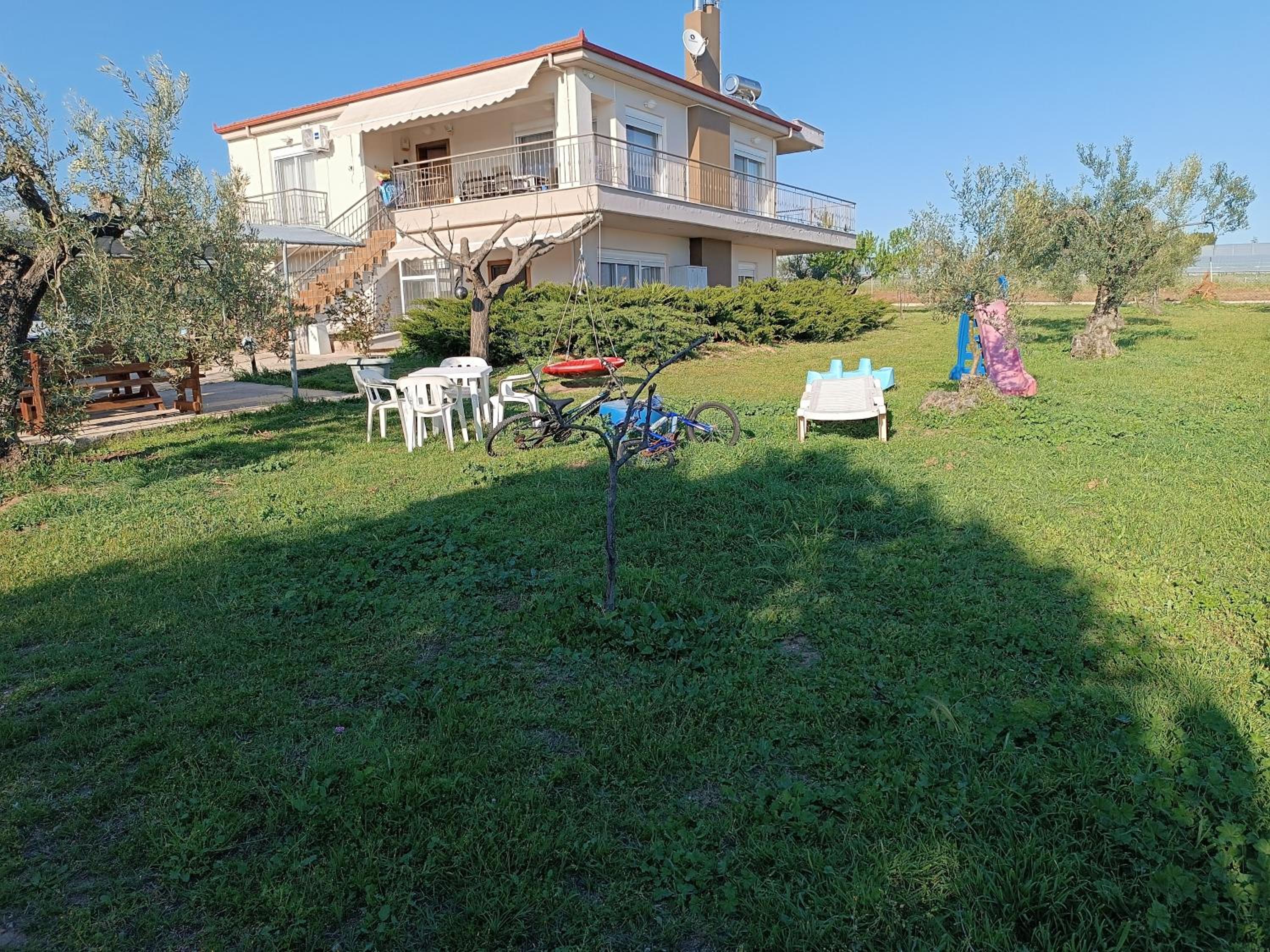 THE SECRET OLIVE HOUSE