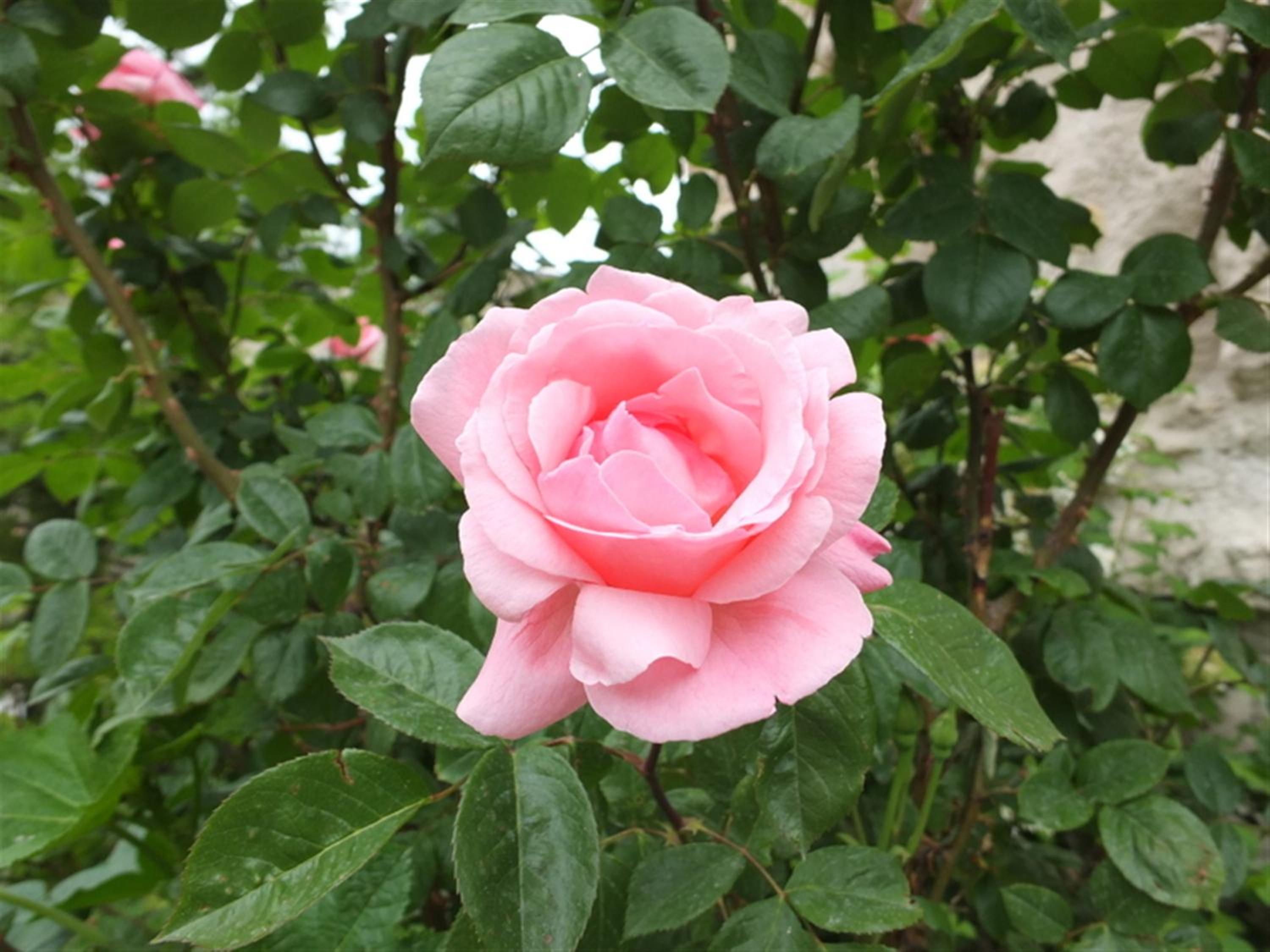 Photo 22