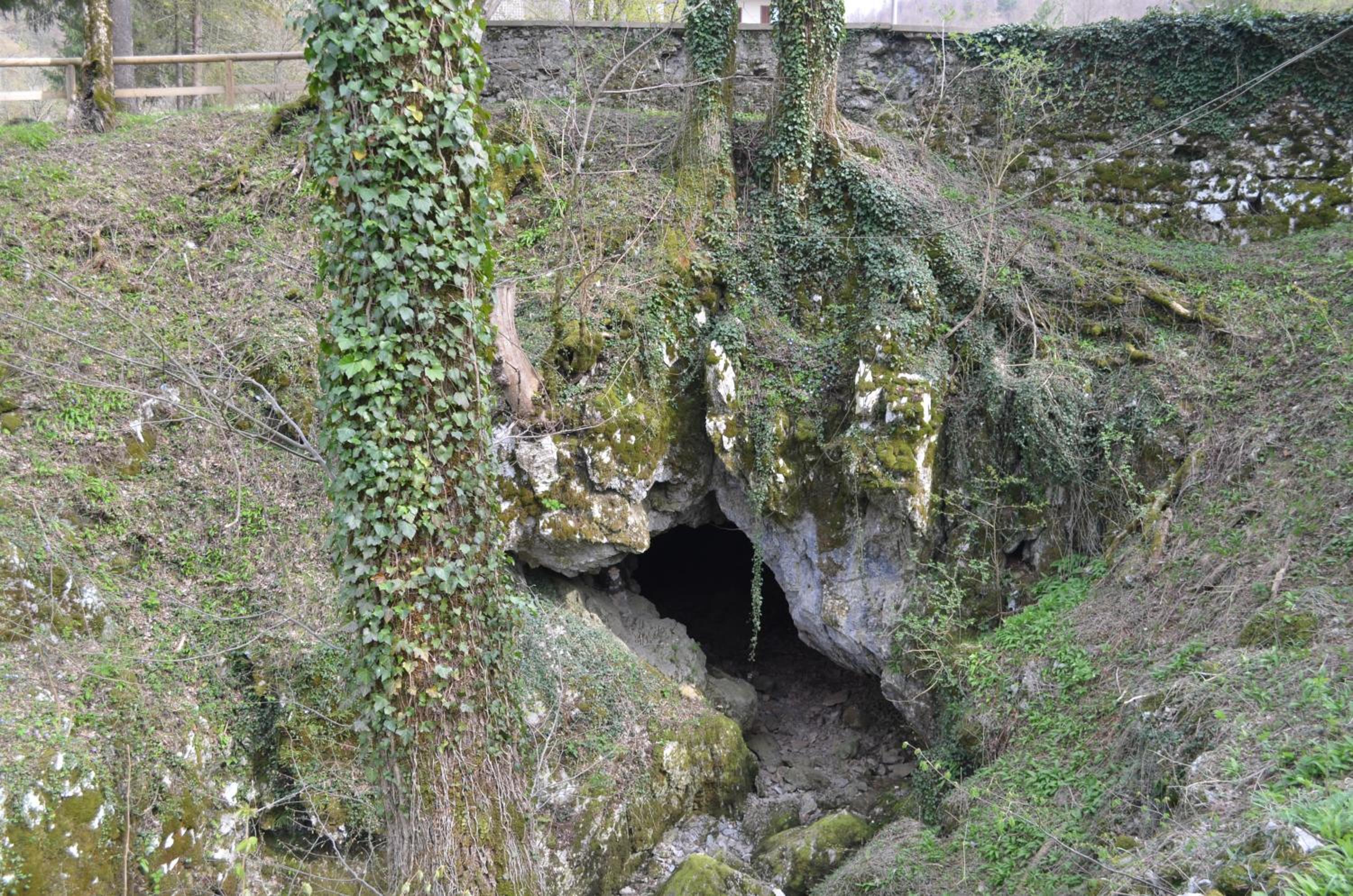 Photo 19