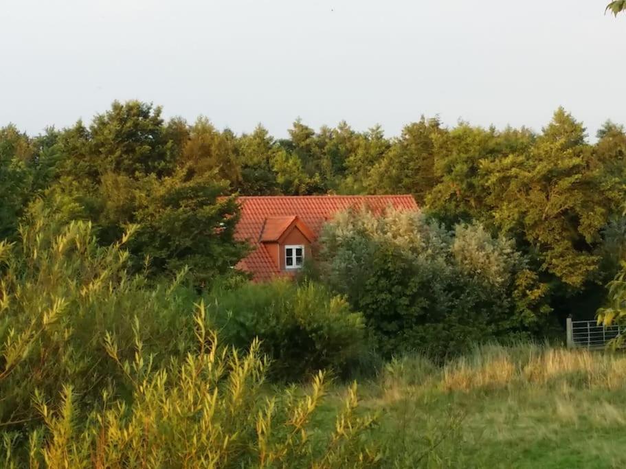 Ferienwohnung Altneukoog